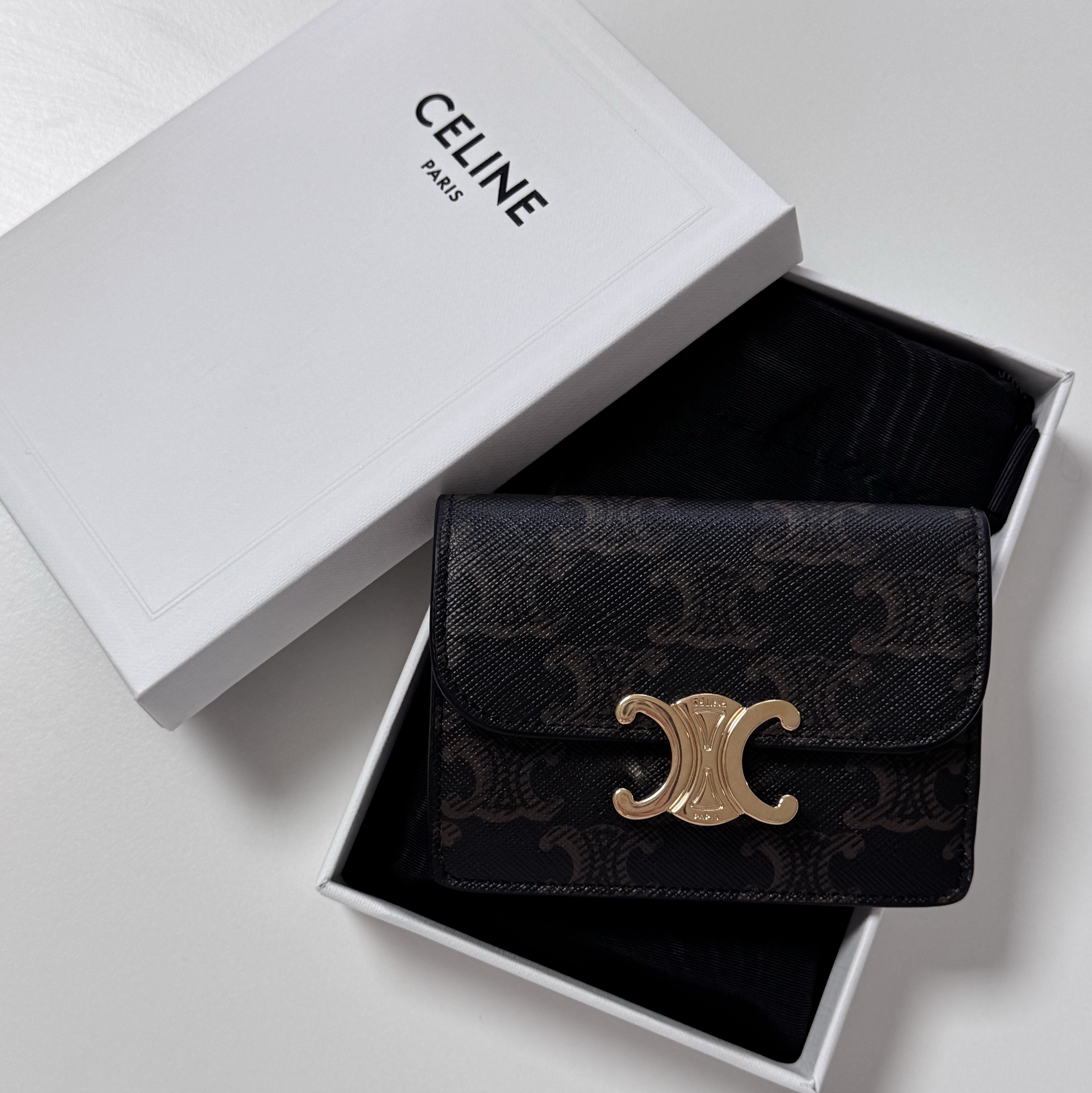 Celine Card Holder with Flap in Triomphe Canvas Tan 착용 스타일