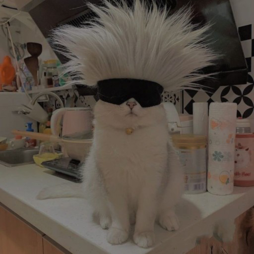 관심 유저 프로필 이미지