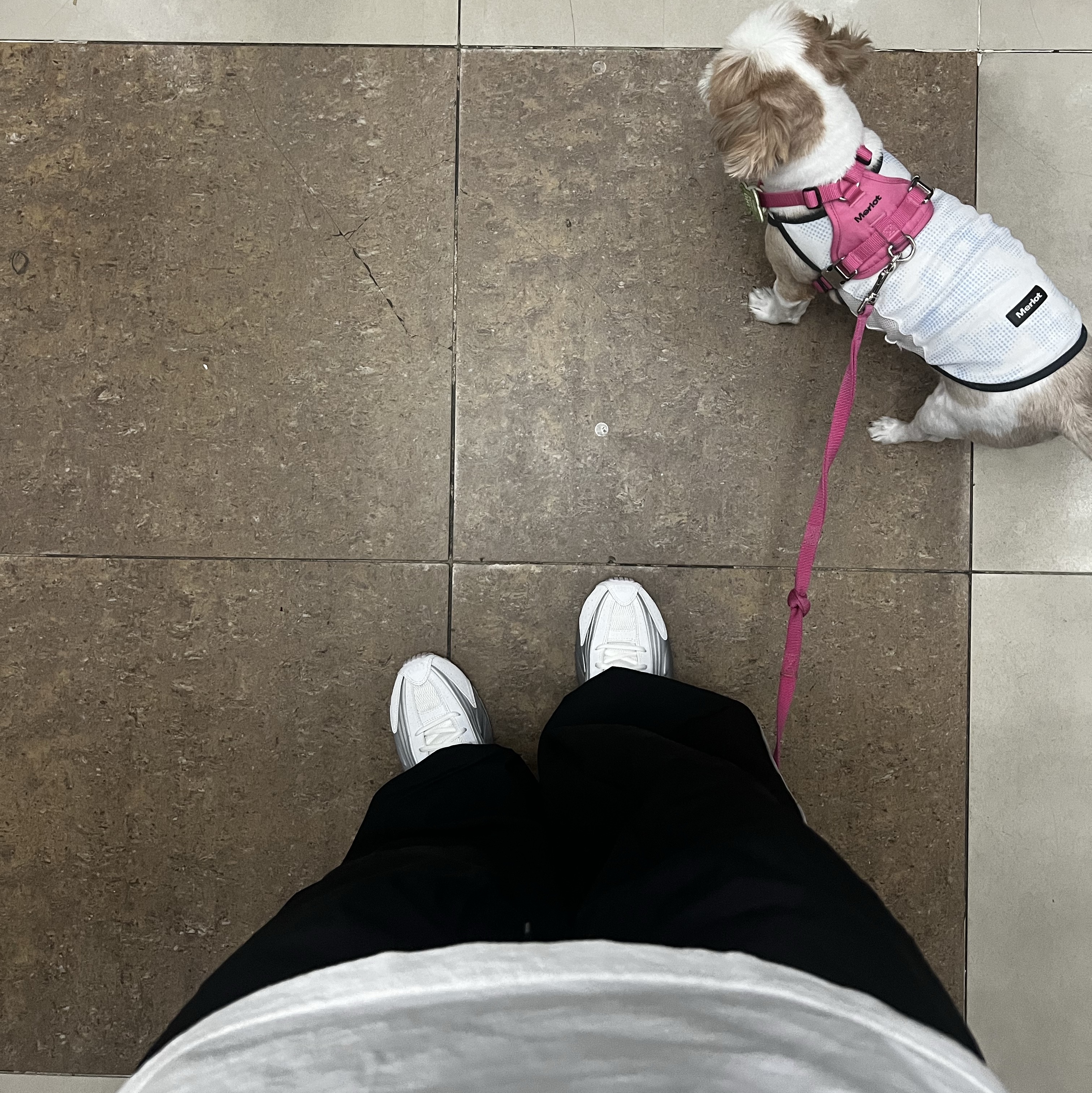 Polyteru Human Index Index Track Pants Dark Navy/White, (W) Nike Shox R4 White and Metallic Platinum 착용 스타일