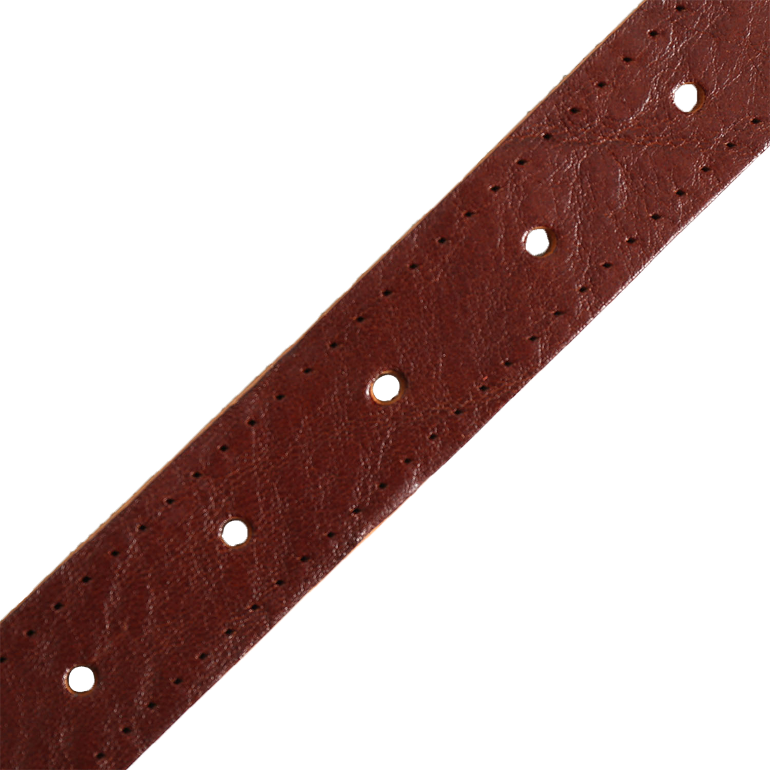 어노인티드 골드 버클 웨스턴 벨트(Anointed Golden Buckle Western Belt) - 5