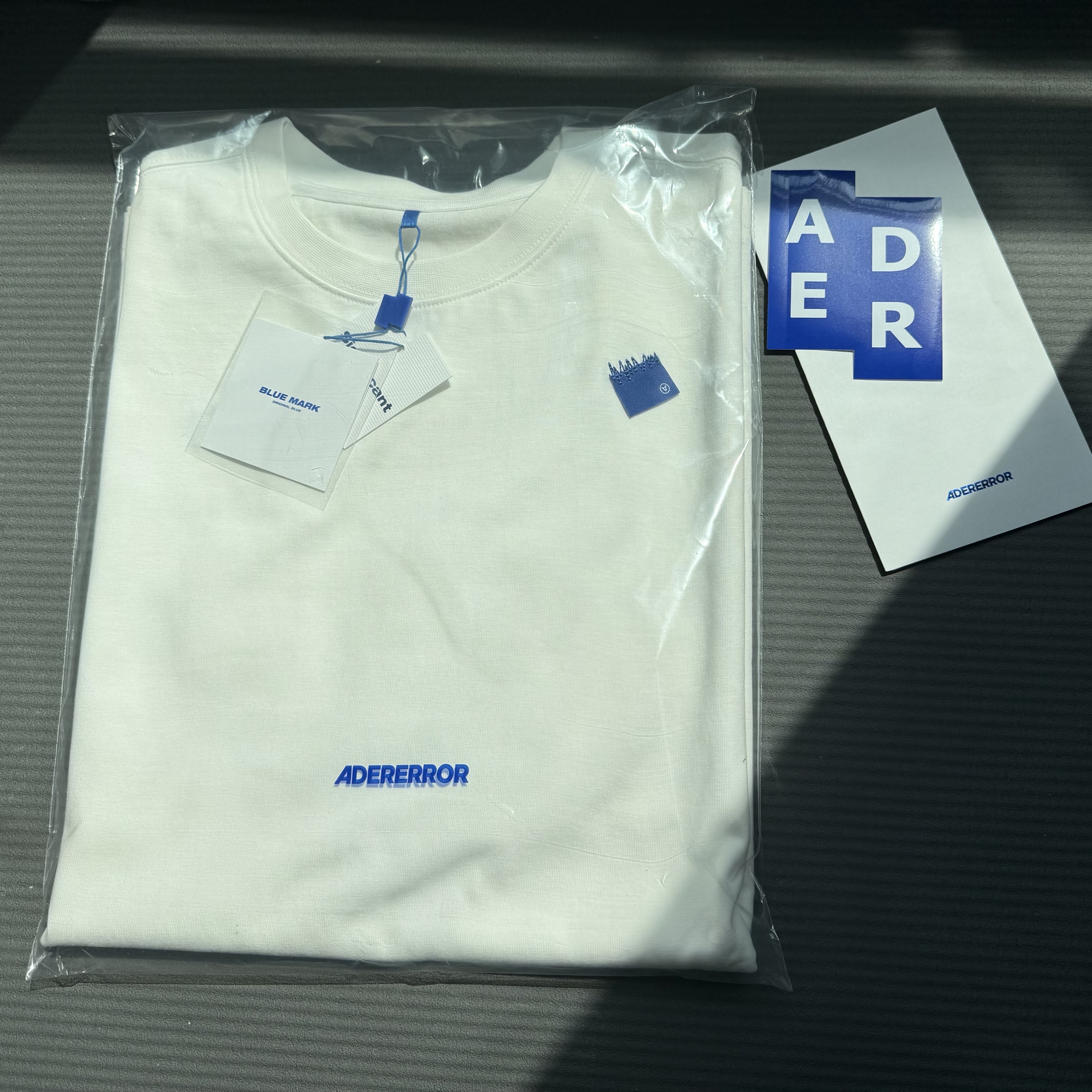 Ader Error Sig; BL Tag T-Shirt Exclusive 01 Off White 착용 스타일