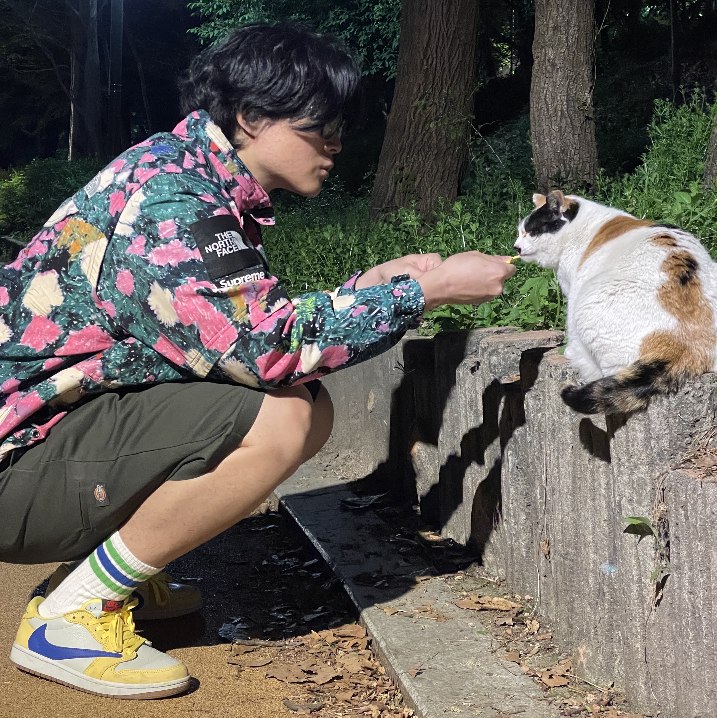 Supreme x The North Face Trekking Convertible Jacket Flowers - 22SS, (W) Jordan 1 x Travis Scott Retro Low OG SP Canary 착용 스타일