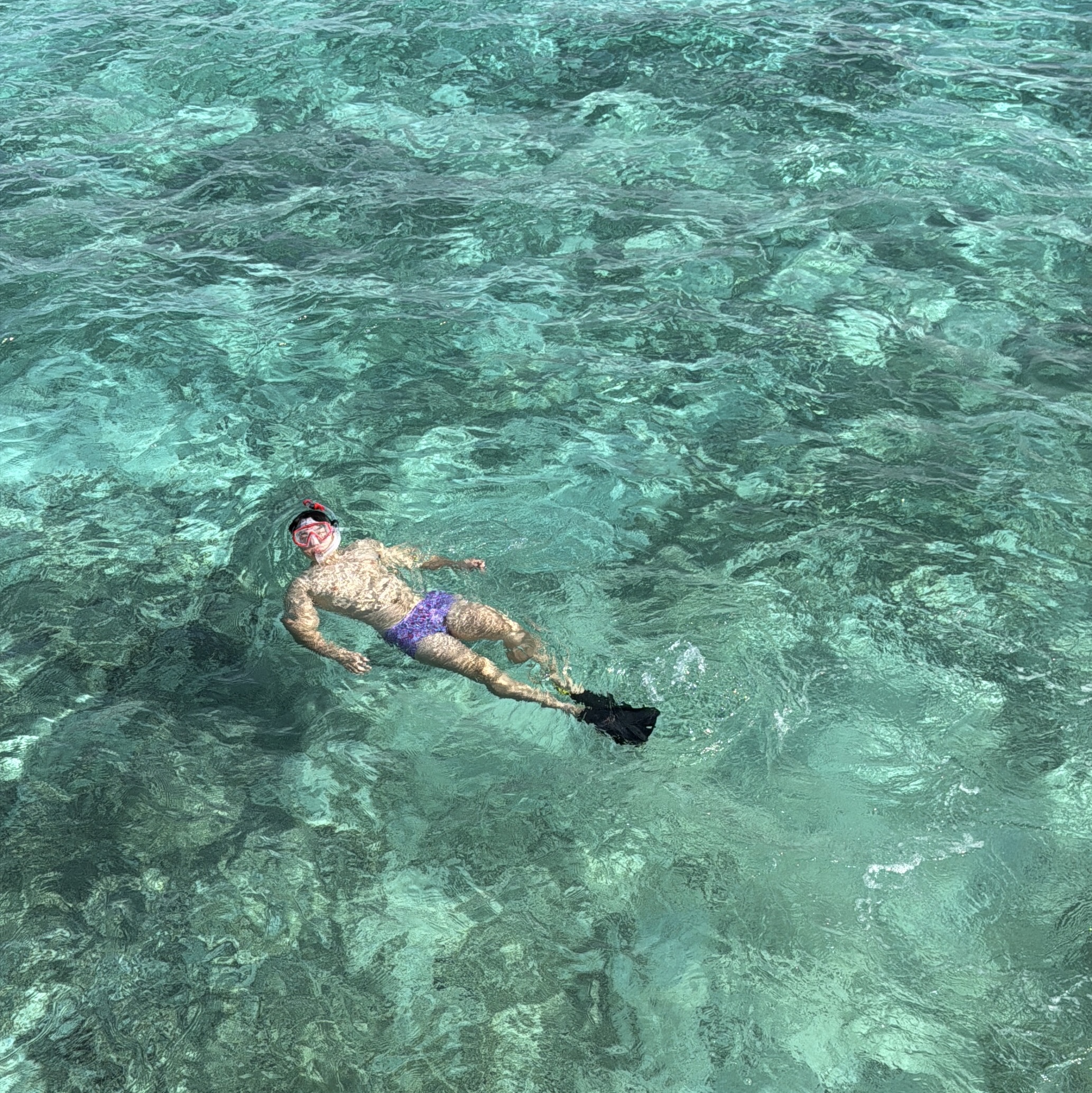 Supreme x Cressi Snorkel Set Red - 19SS 착용 스타일 - 2