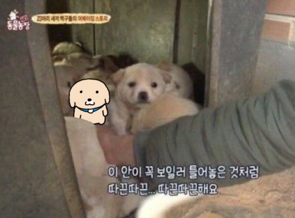 KREAM 프로필 이미지