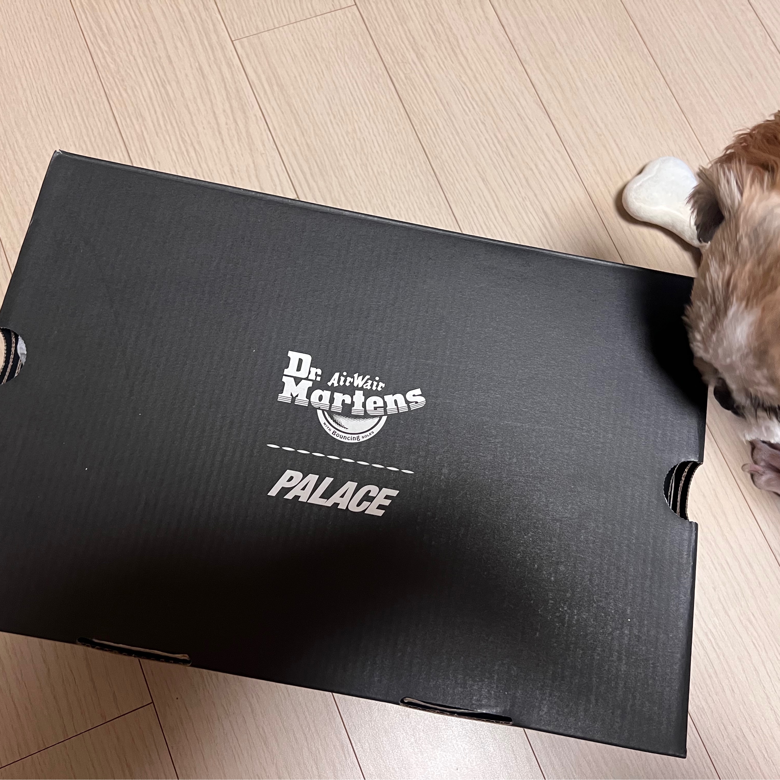 Dr. Martens x Palace 1461 Red 착용 스타일 - 1