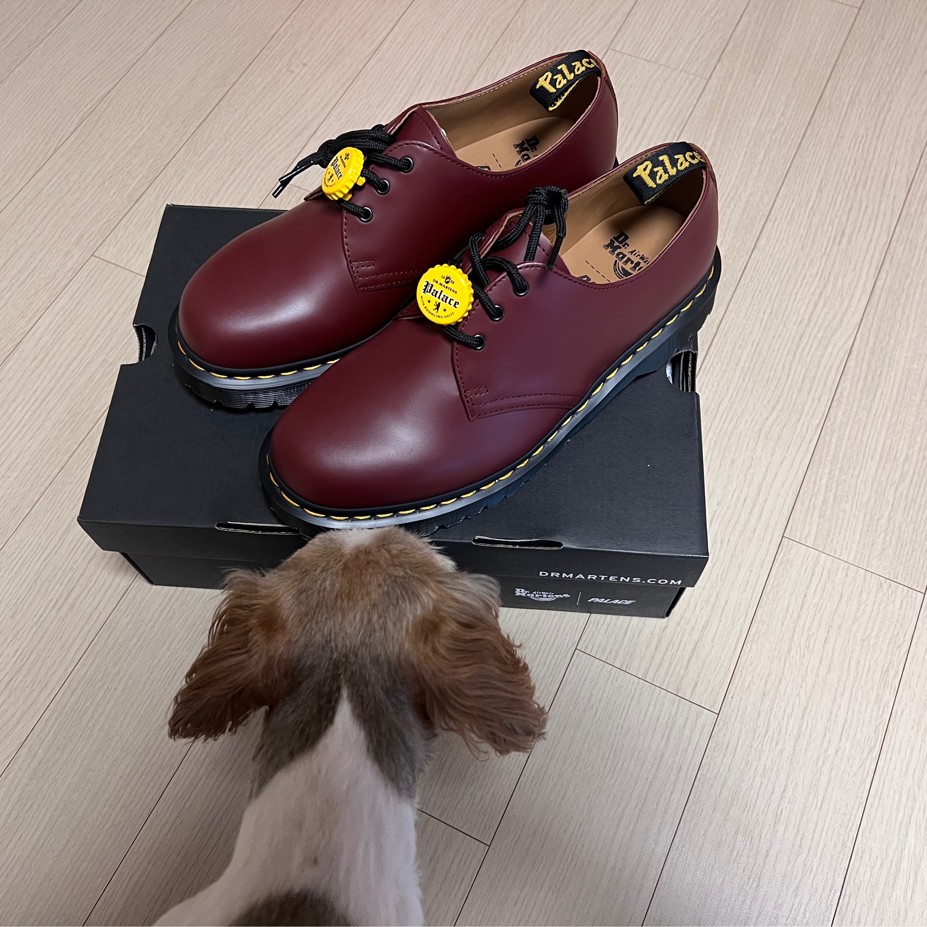 Dr. Martens x Palace 1461 Red 착용 스타일 - 3