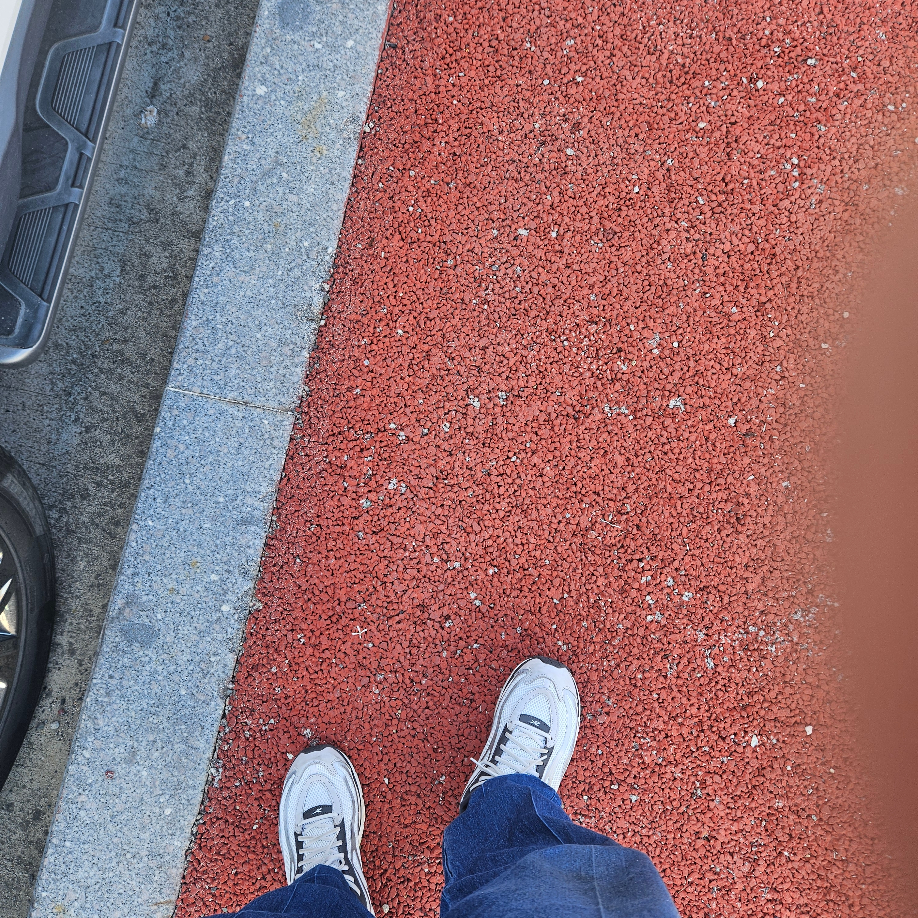 Reebok x Liful Premier Pump Paris Grey 착용 스타일