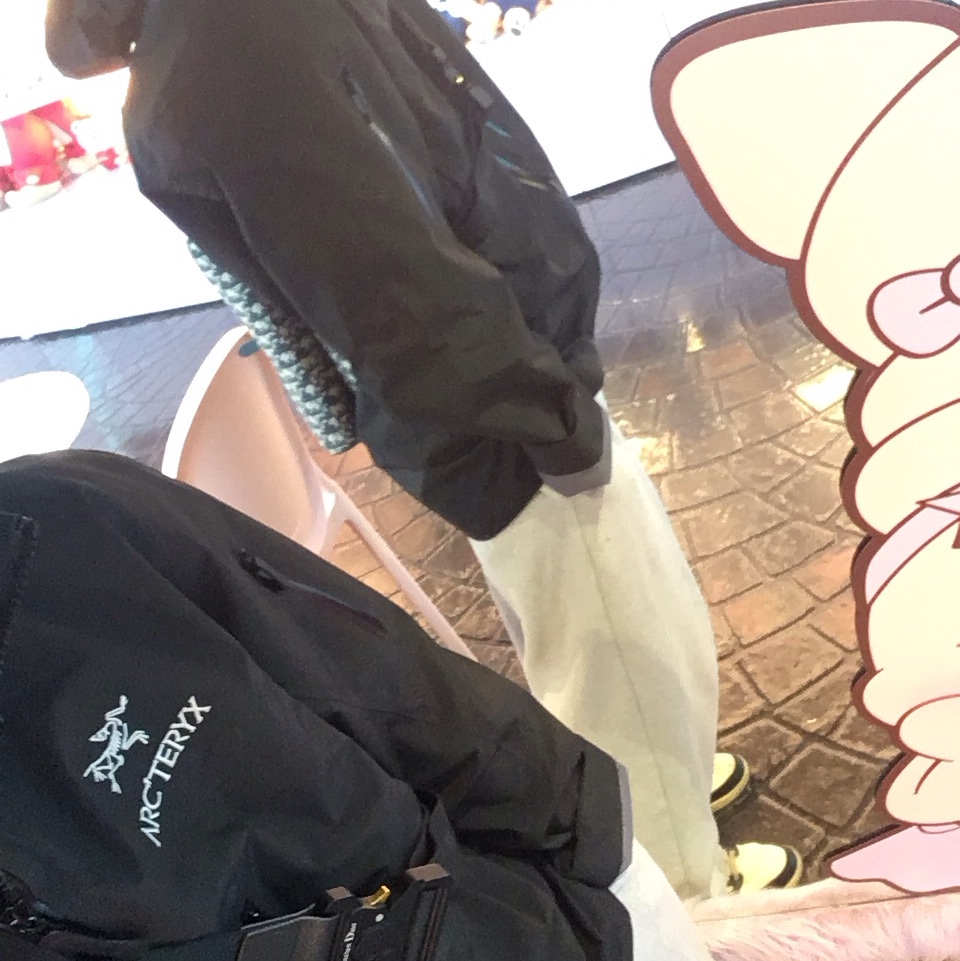 Arc'teryx Alpha SV Jacket Black, Dior Saddle Bag Beige & Black Dior Oblique Jacquard 착용 스타일 - 1