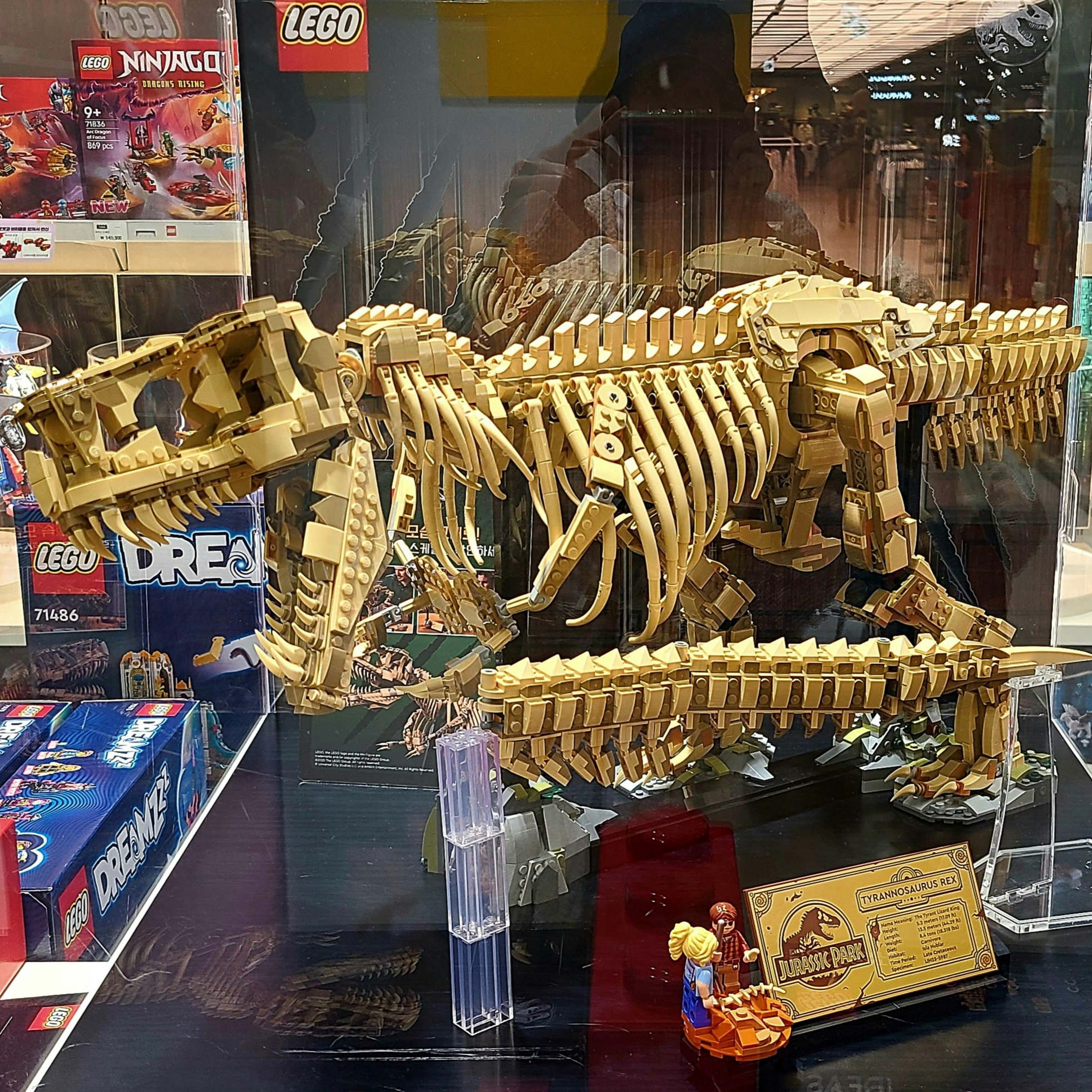Lego Jurrasic World Dinosaur Fossils: Tyrannosaurus rex, Lego Harry Potter The Knight Bus 착용 스타일 - 1