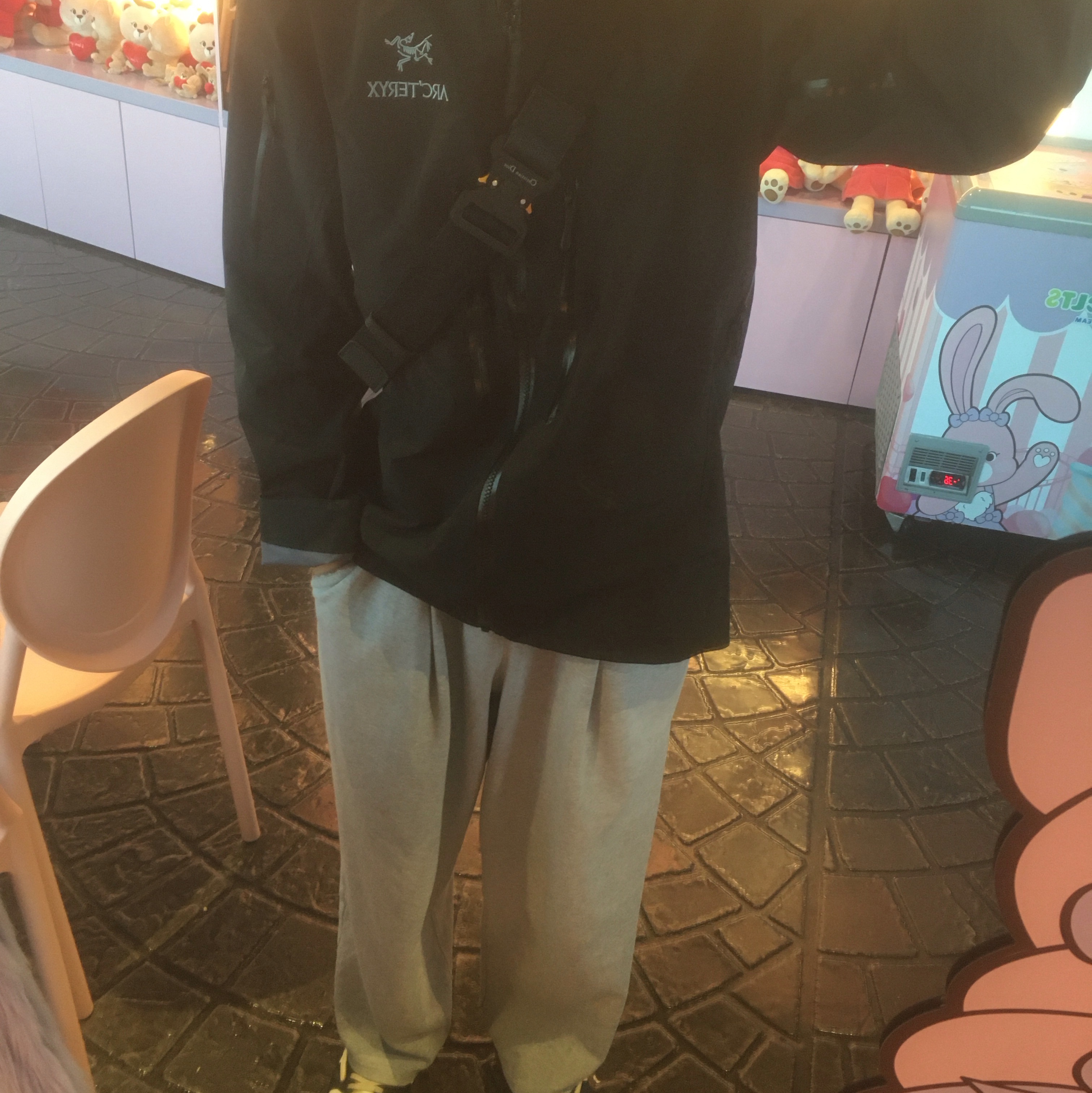 Arc'teryx Alpha SV Jacket Black, Dior Saddle Bag Beige & Black Dior Oblique Jacquard 착용 스타일 - 2