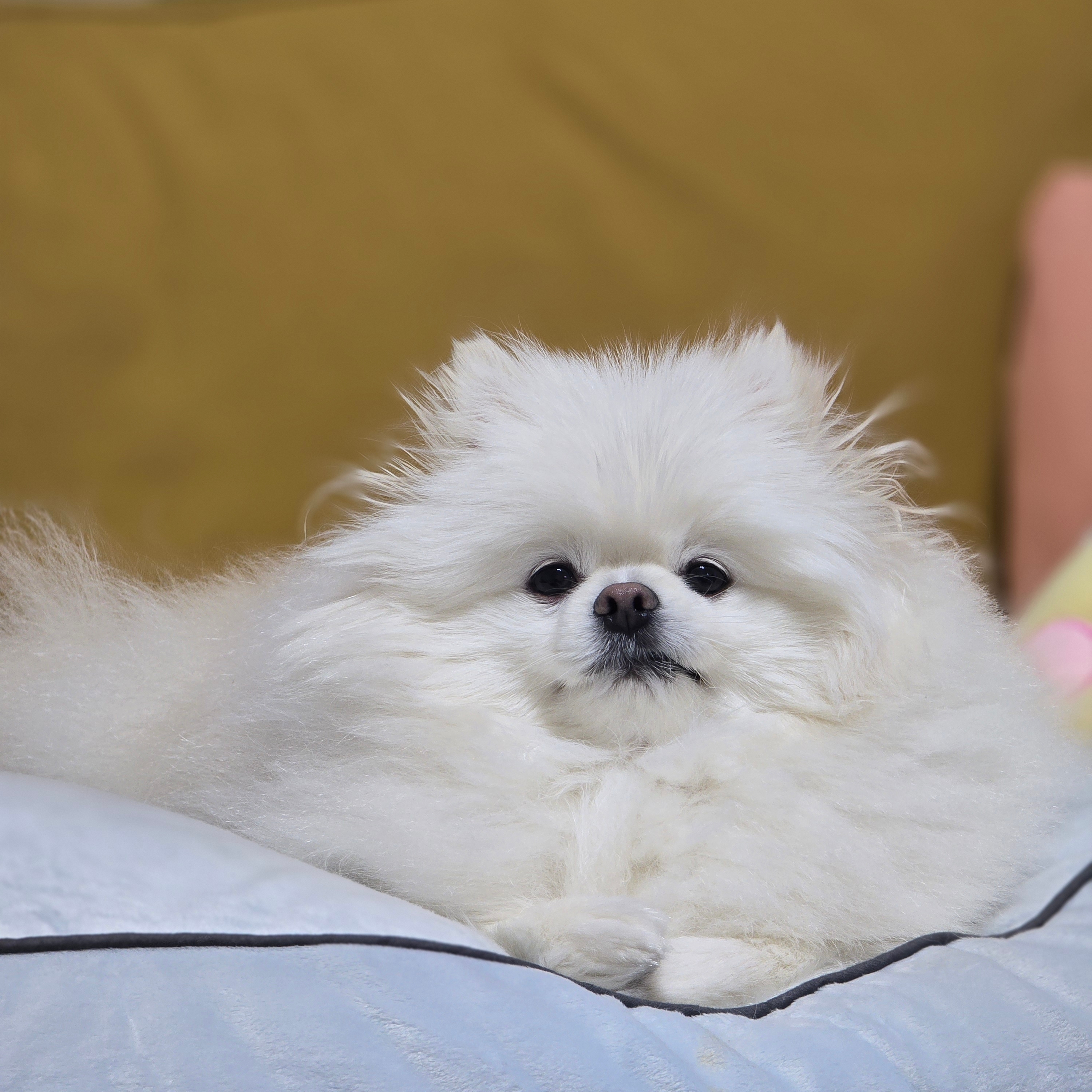 cindy님의 스타일