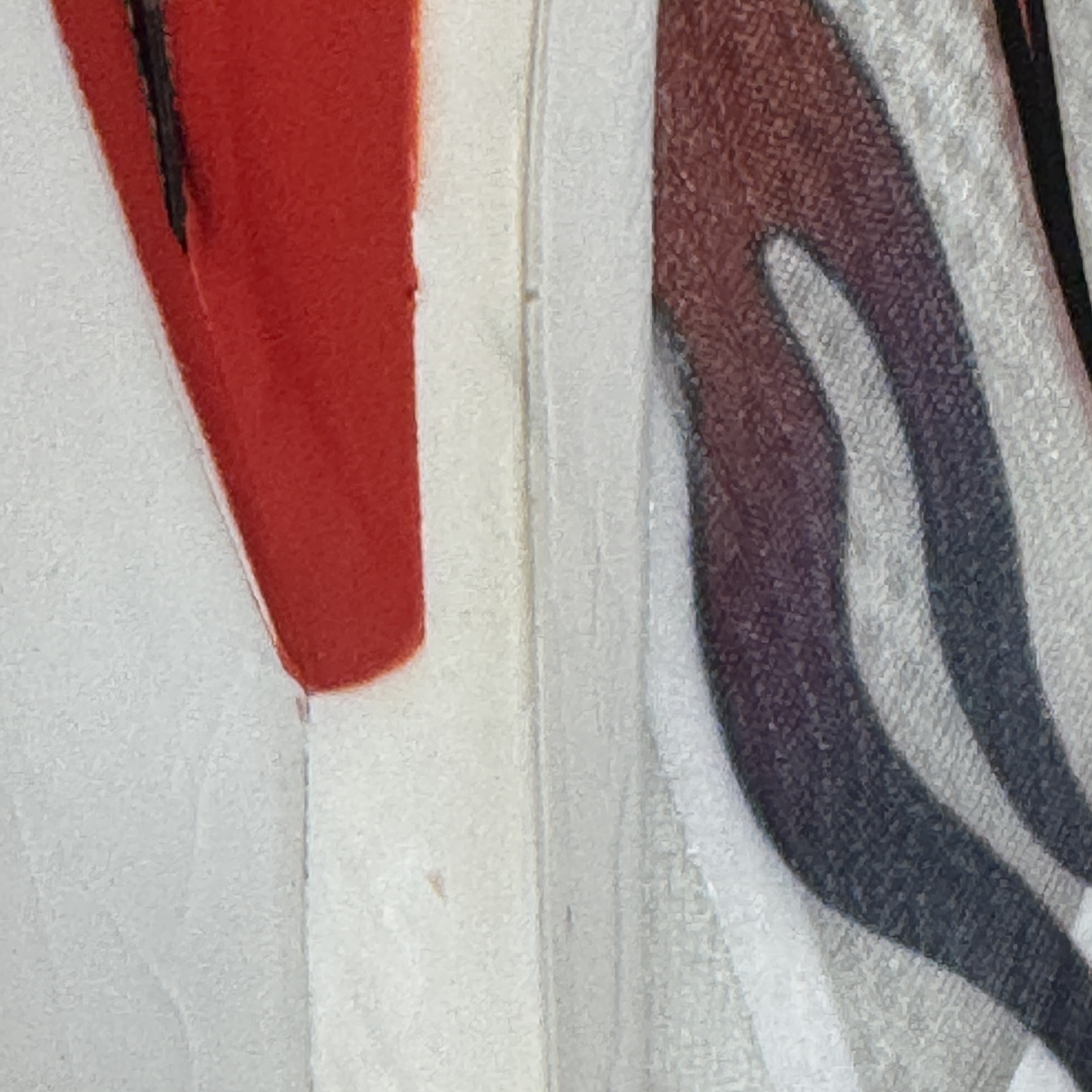 Nike Zoom Fly 6 PRM White Habanero Red 착용 스타일 - 5