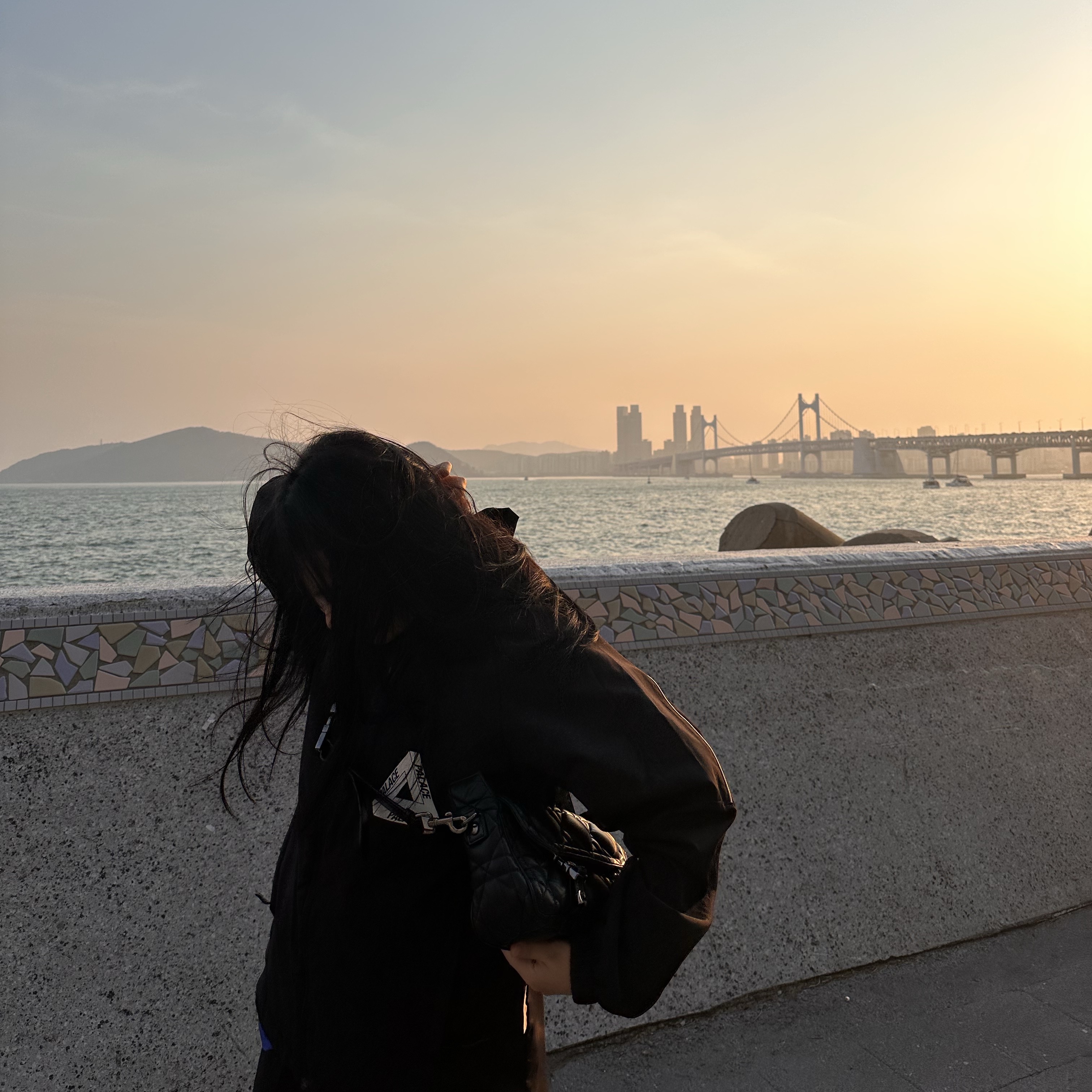 Dior Small Diorcamp Bag Macrocannage Calfskin Black, Palace Reflector Jacket Black - 22FW 착용 스타일