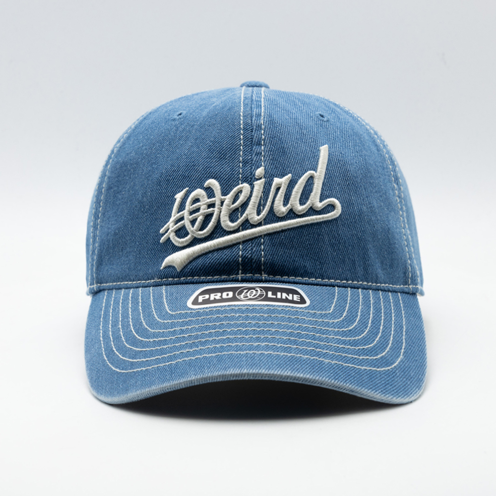 위얼드월드 웨이브 로고 데님 볼캡 블루(Weird World Wave Logo Denim Ball Cap Blue) - 2