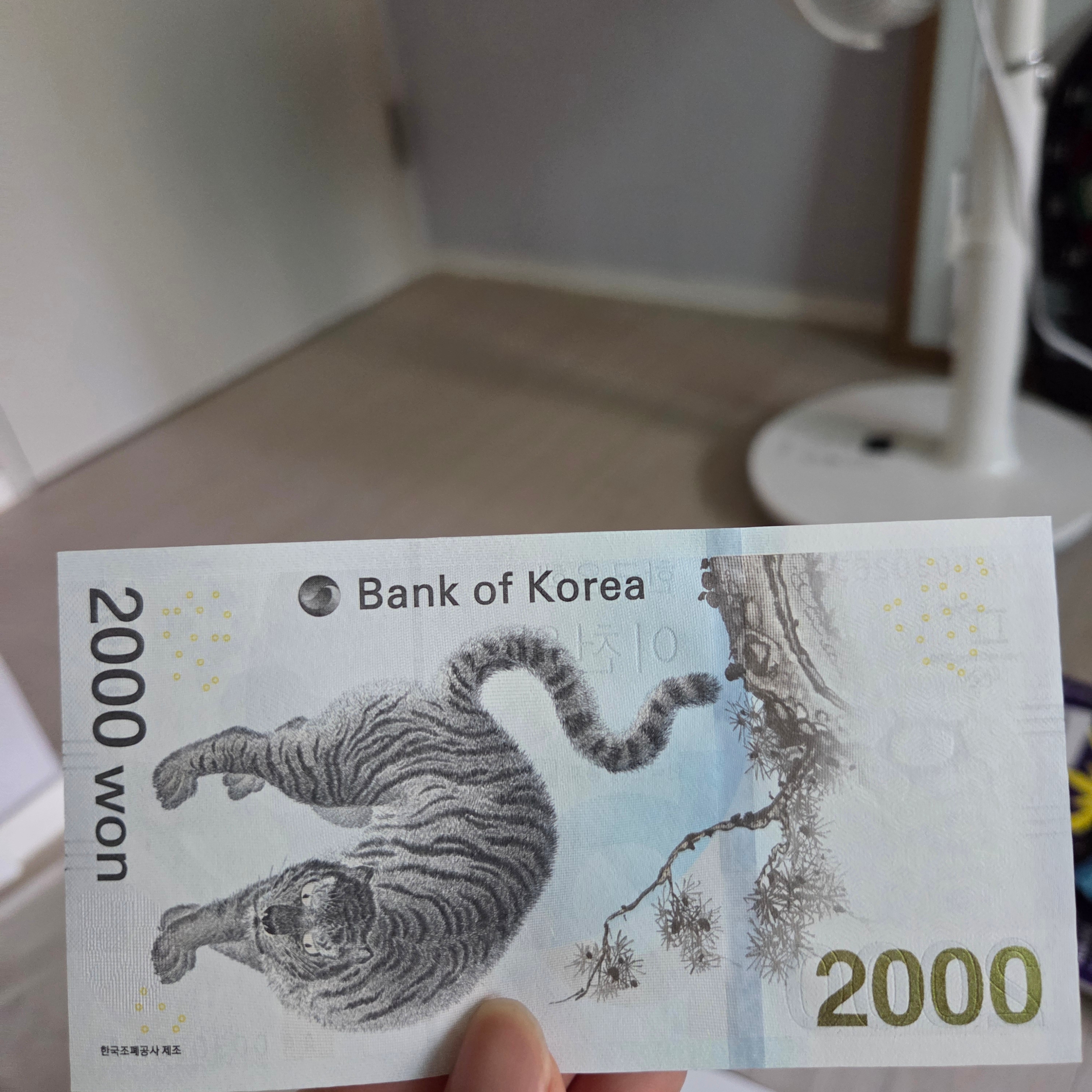 sdg95830님의 스타일