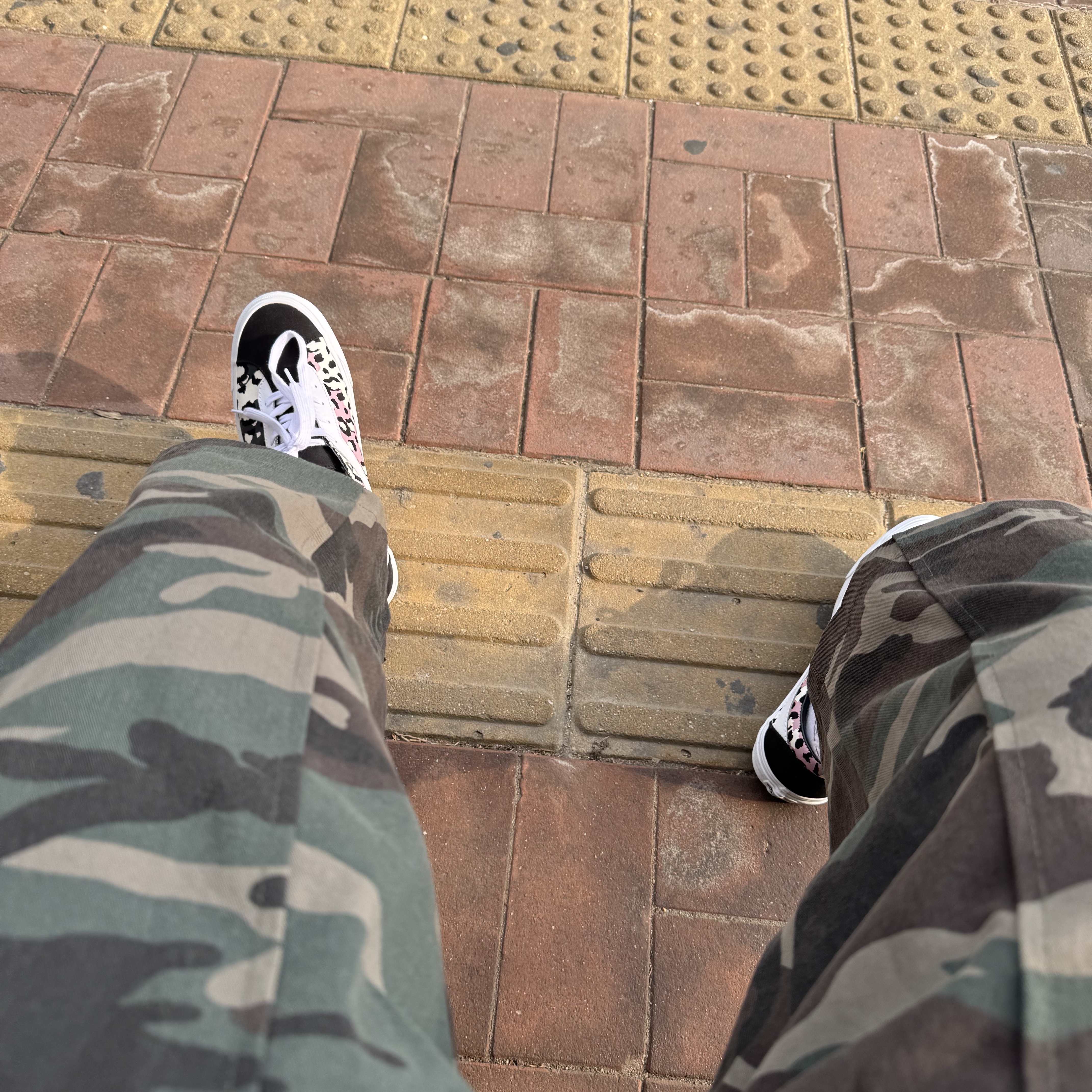 Vans Bold Ni Neon Animal Black Multi 착용 스타일