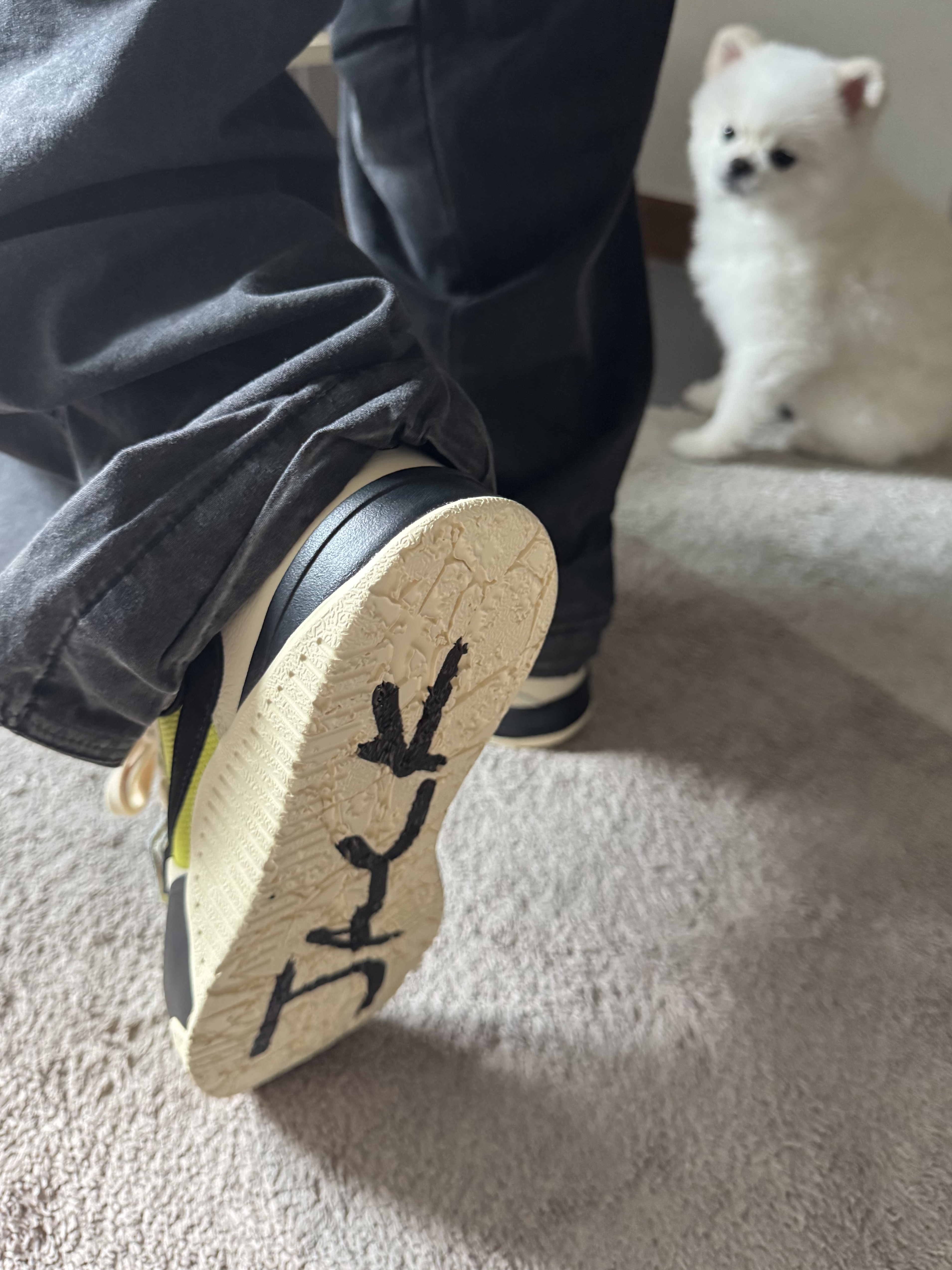 Jordan x Travis Scott Jumpman Jack TR Bright Cactus 착용 스타일 - 2