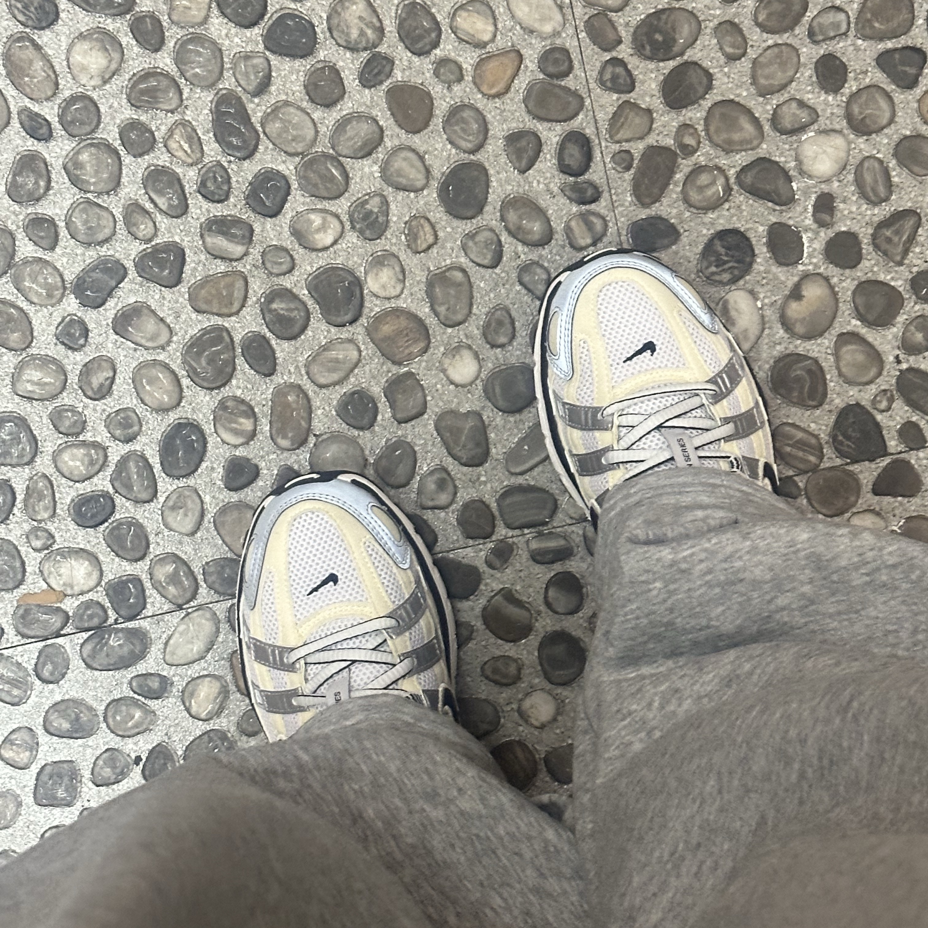 (W) Nike P-6000 Coconut Milk Metallic Silver 착용 스타일