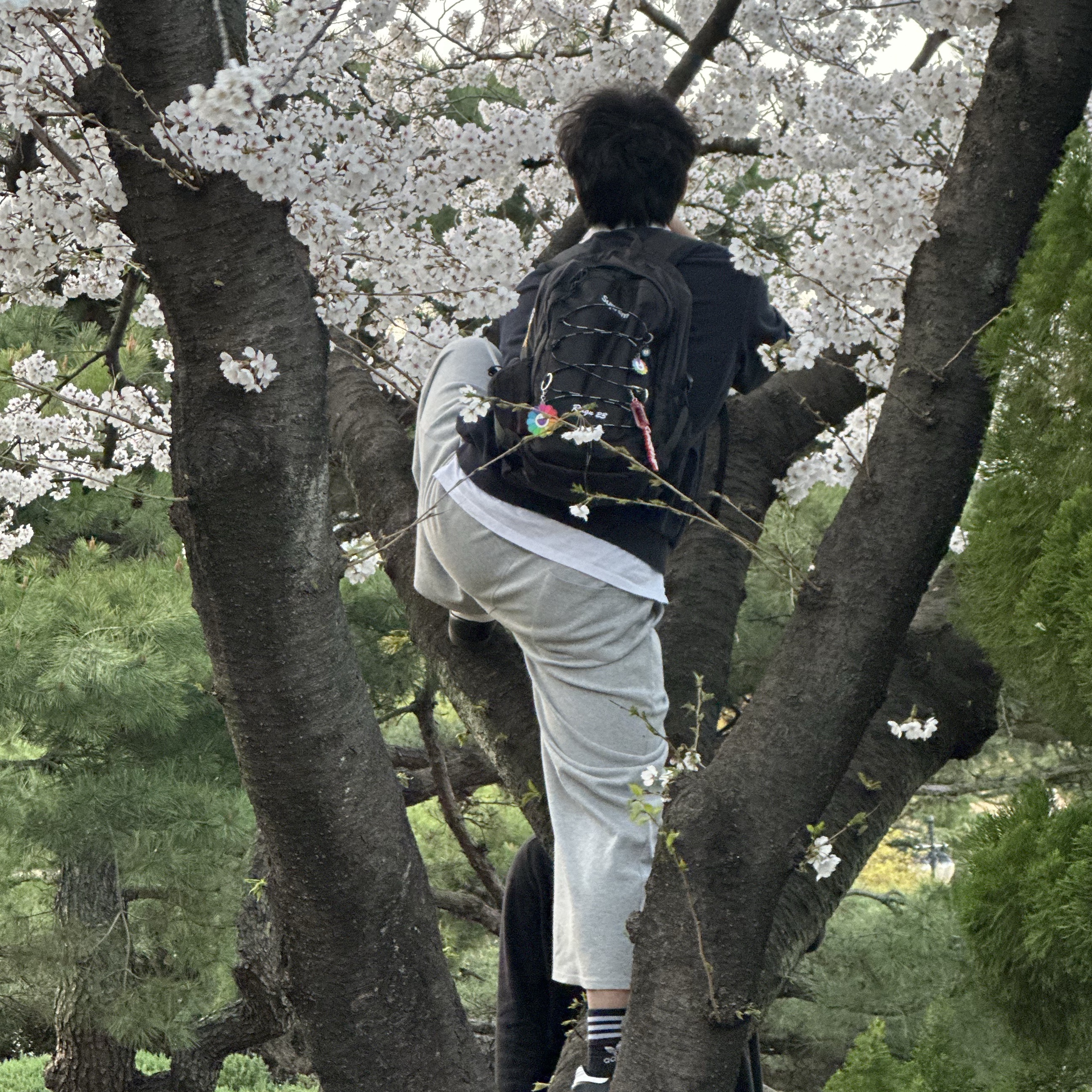 Supreme Backpack Black - 22SS, NewJeans x Murakami Metal Keyring Flower 착용 스타일