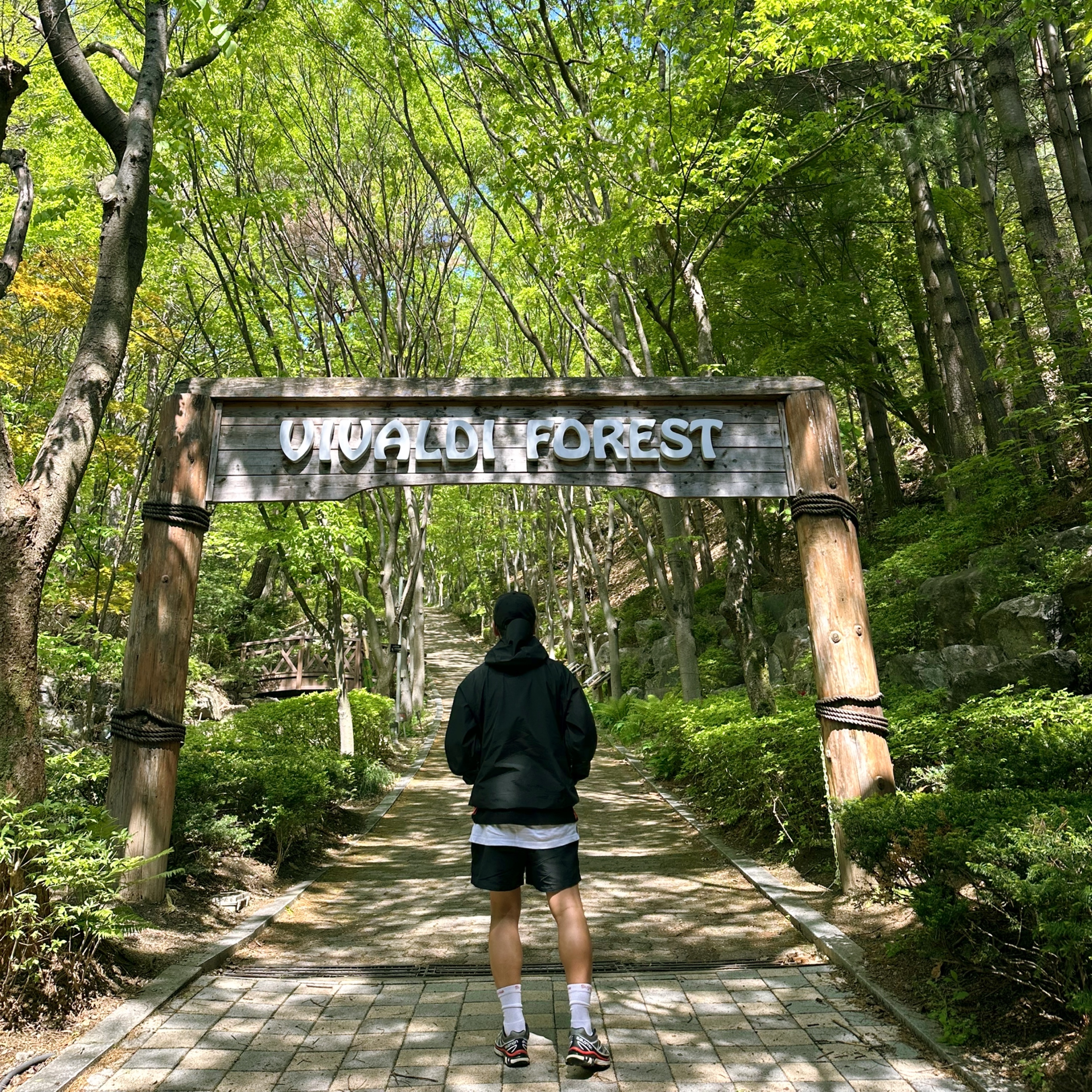 Palace Gore-Tex 3L Jacket Black - 24SS, Nike NRG ACG Trail Shorts Black Dark Smoke Grey - Asia 착용 스타일 - 3