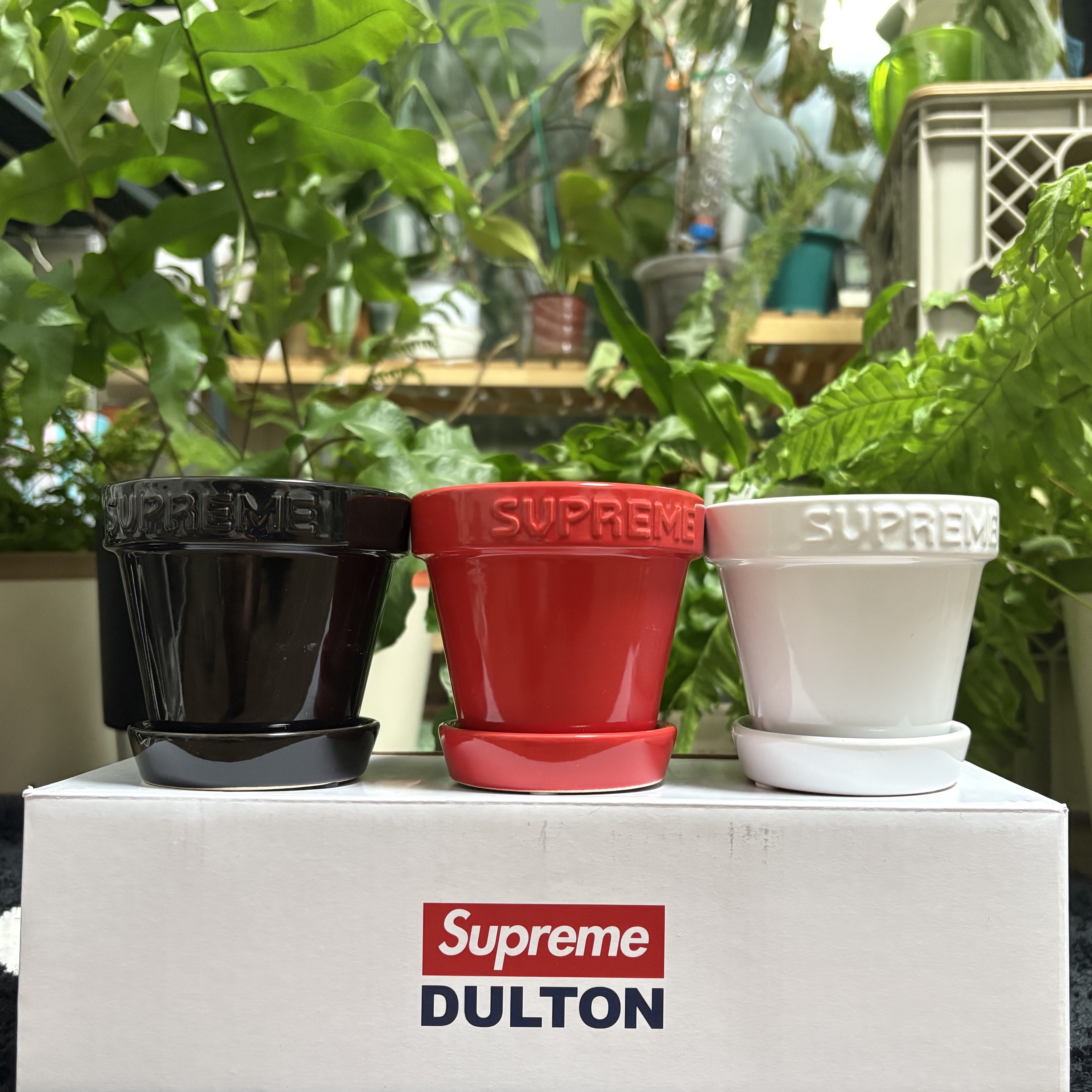 Supreme Mini Planters Multicolor (Set of 3) - 25SS 착용 스타일