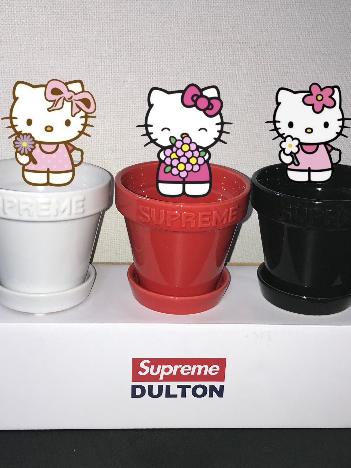 Supreme Mini Planters Multicolor (Set of 3) - 25SS 착용 스타일