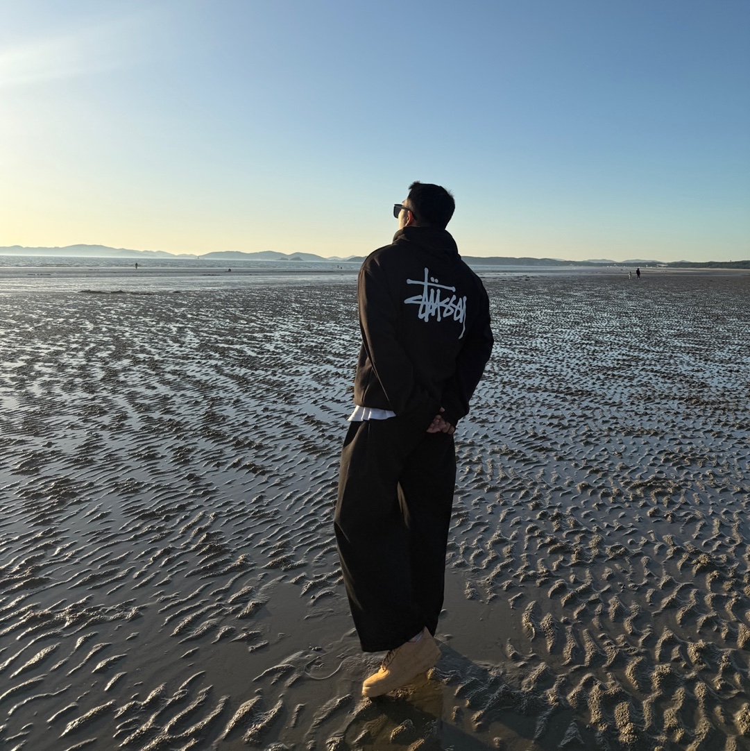 Stussy Basic Stussy Hoodie Black, Nike Air Force 1 '07 WB Flax 착용 스타일
