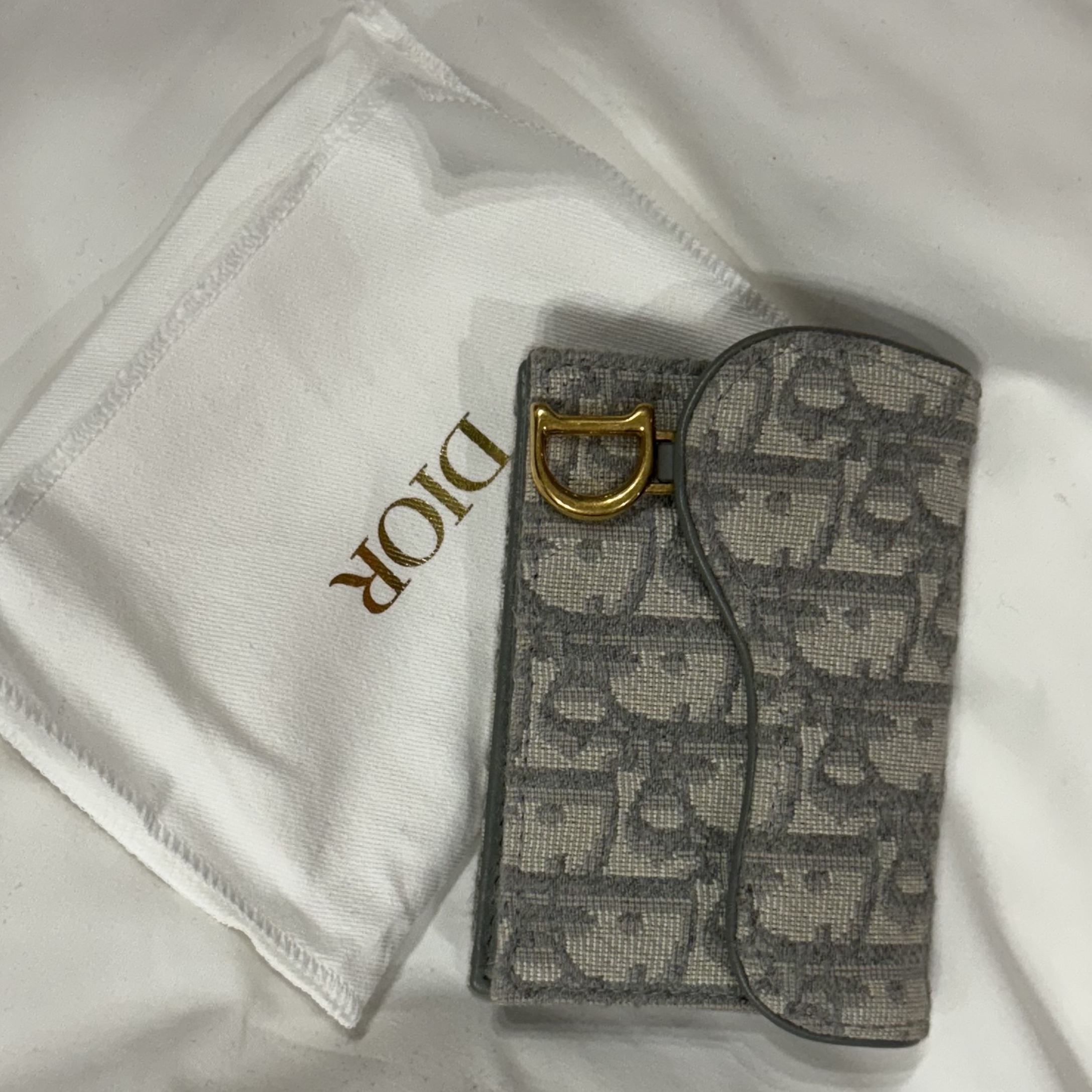 Dior Saddle Flap Card Holder Grey Dior Oblique Jacquard 착용 스타일 - 1
