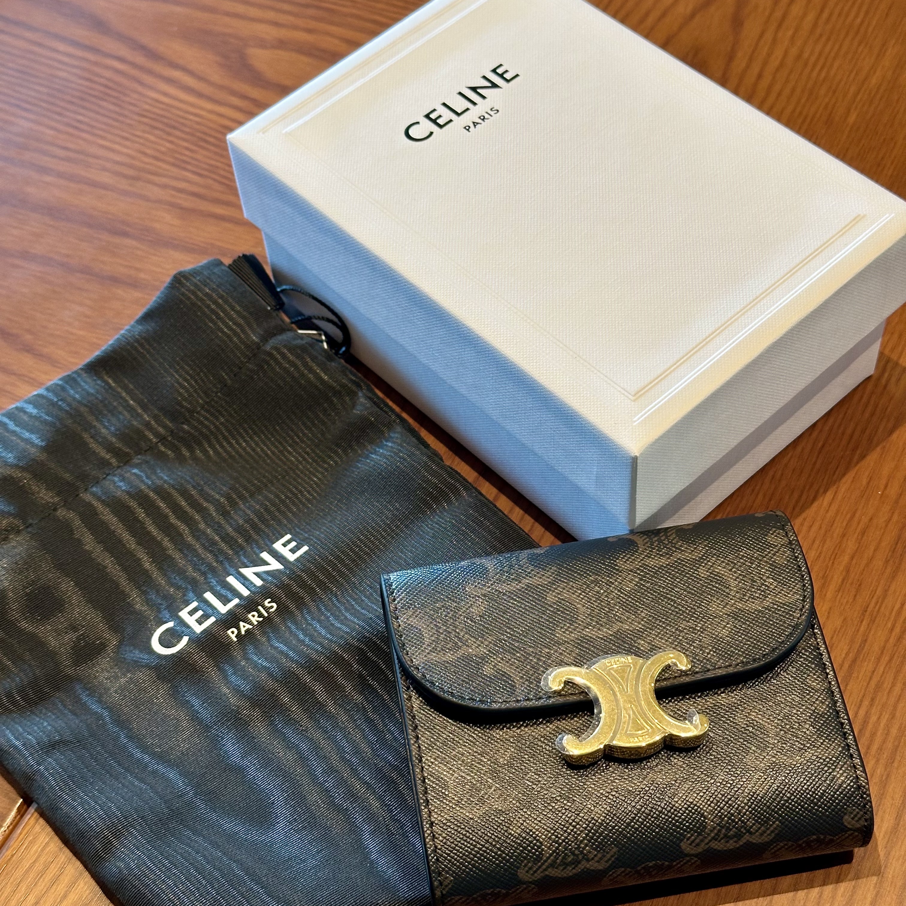 Celine Small Wallet Triomphe in Triomphe Canvas Tan 착용 스타일 - 1