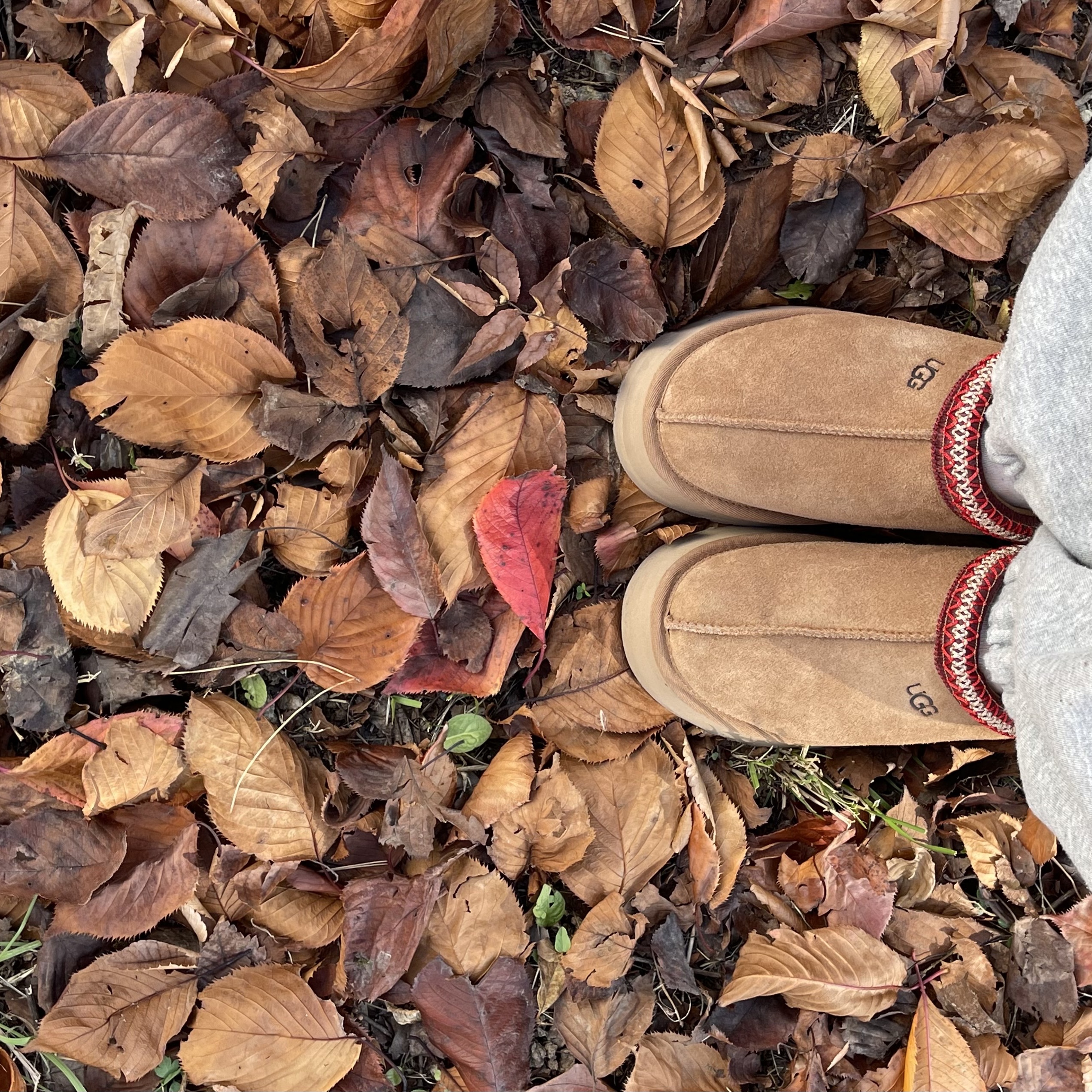 (W) UGG Tazz Slipper Chestnut 착용 스타일 - 1