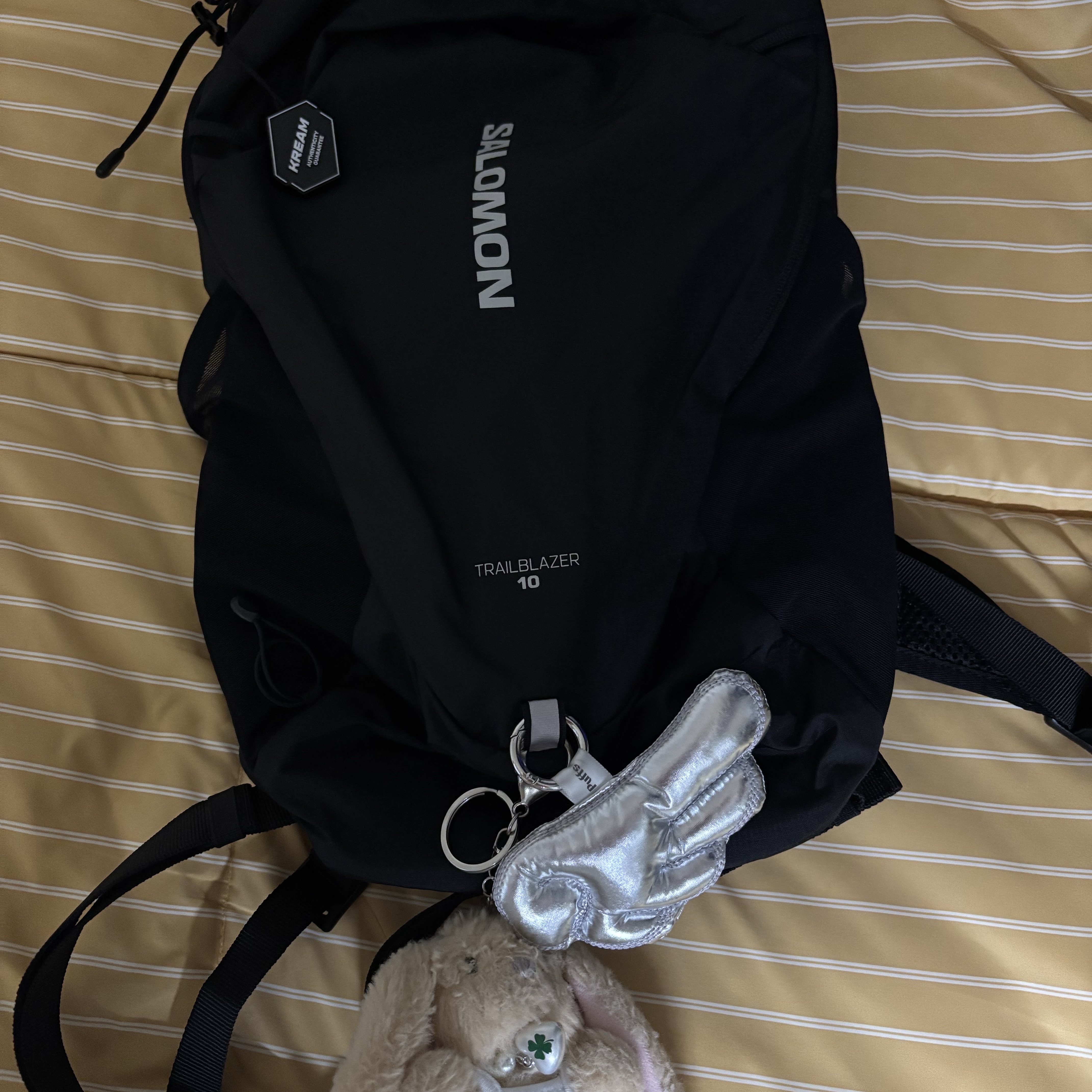 Salomon Trailblazer 10 Black 착용 스타일