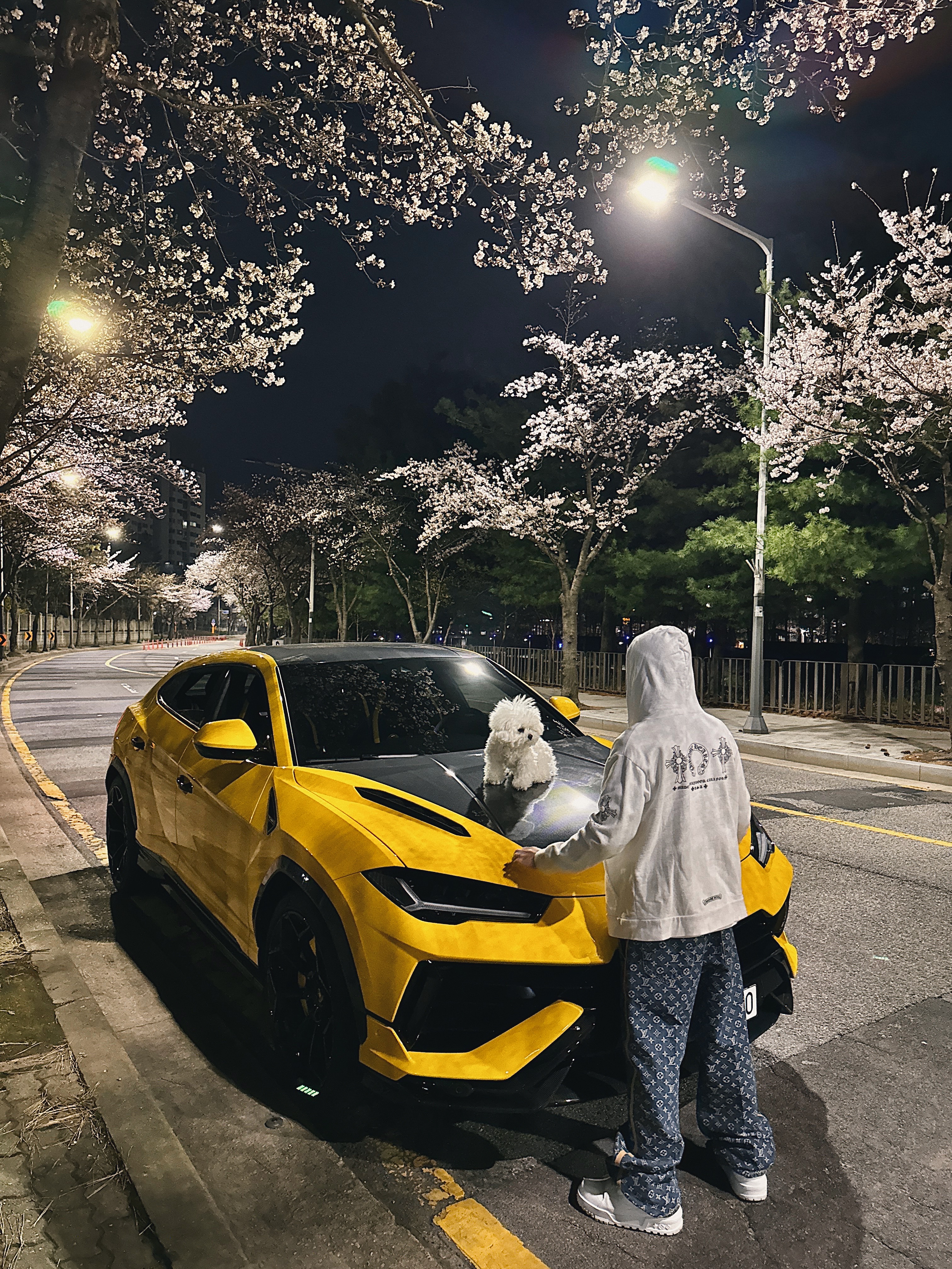 Louis Vuitton Monogram Denim Tailored Pants Indigo Blue, Chrome Hearts Horseshoe Floral Fleece Zip-Up Hoodie White 착용 스타일 - 2