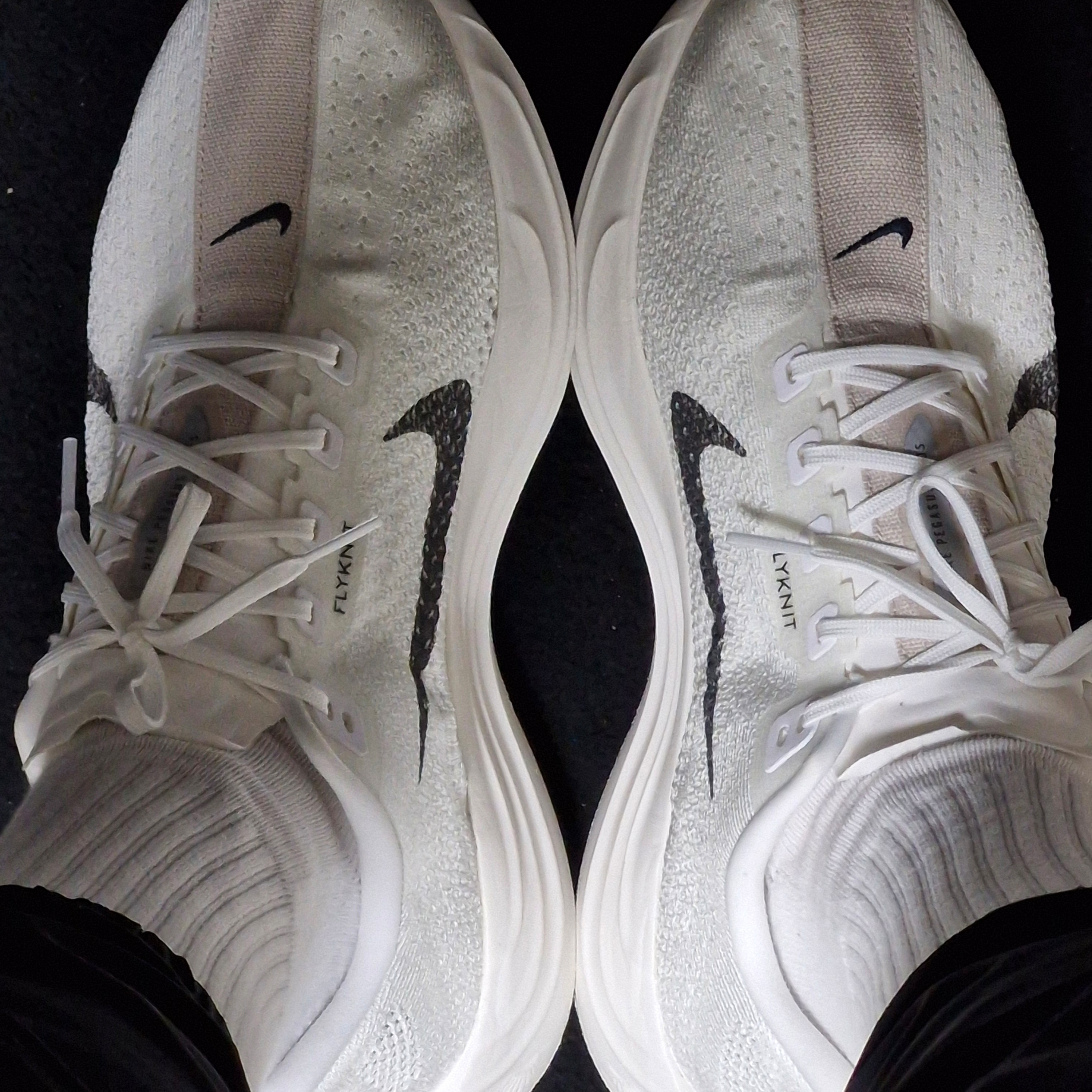 Nike Pegasus Plus  White Sail 착용 스타일