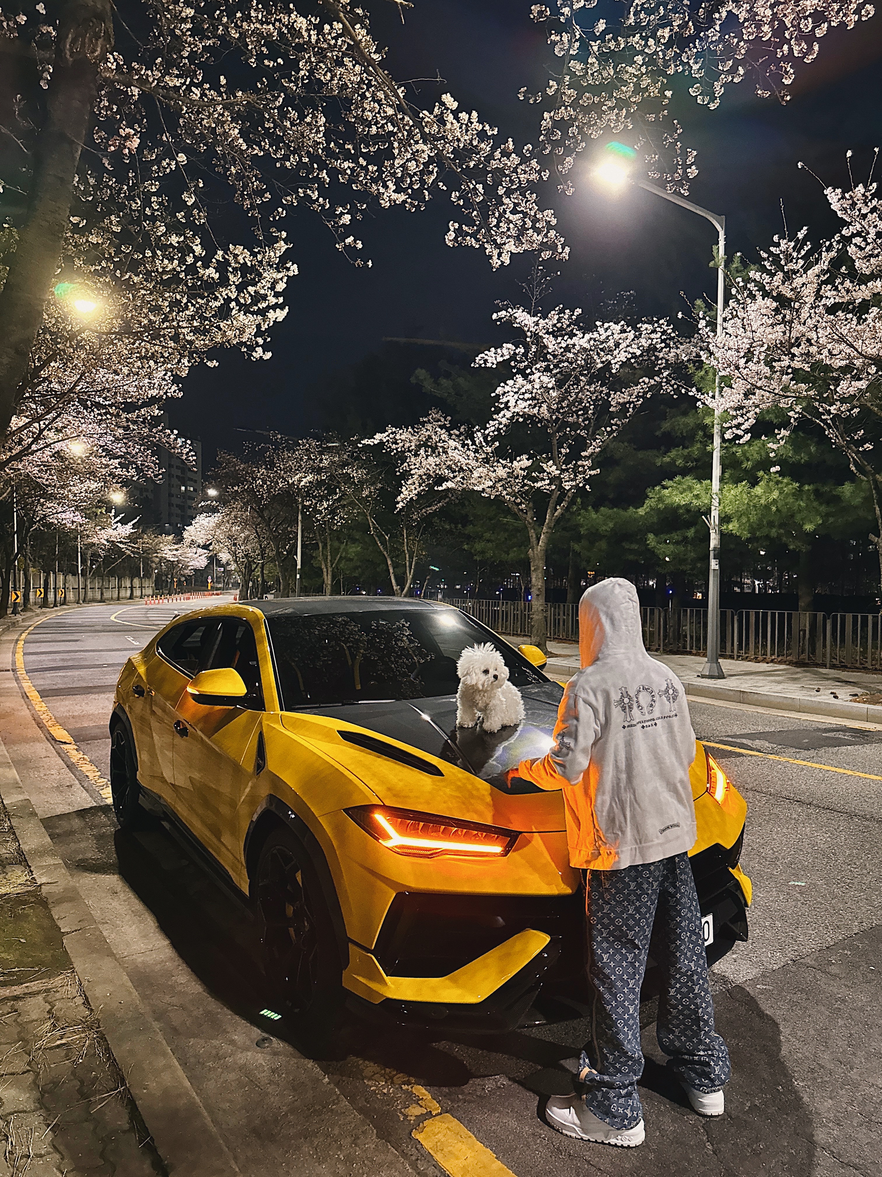 Louis Vuitton Monogram Denim Tailored Pants Indigo Blue, Chrome Hearts Horseshoe Floral Fleece Zip-Up Hoodie White 착용 스타일 - 1