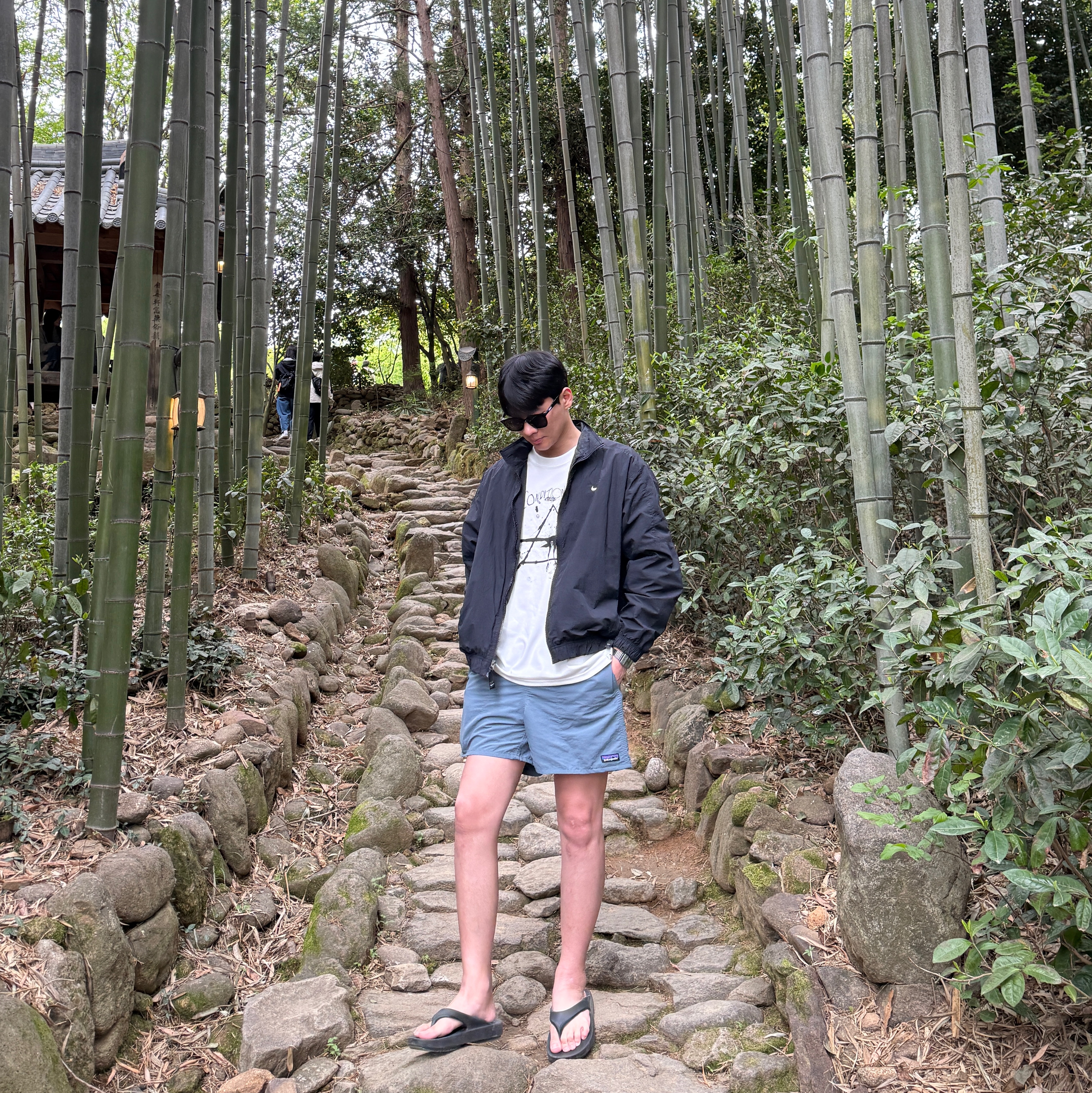 Patagonia Baggies Shorts 5 Inch Plume Grey, Nike ACG Ralph Steadman T-Shirt Summit White - Asia 착용 스타일