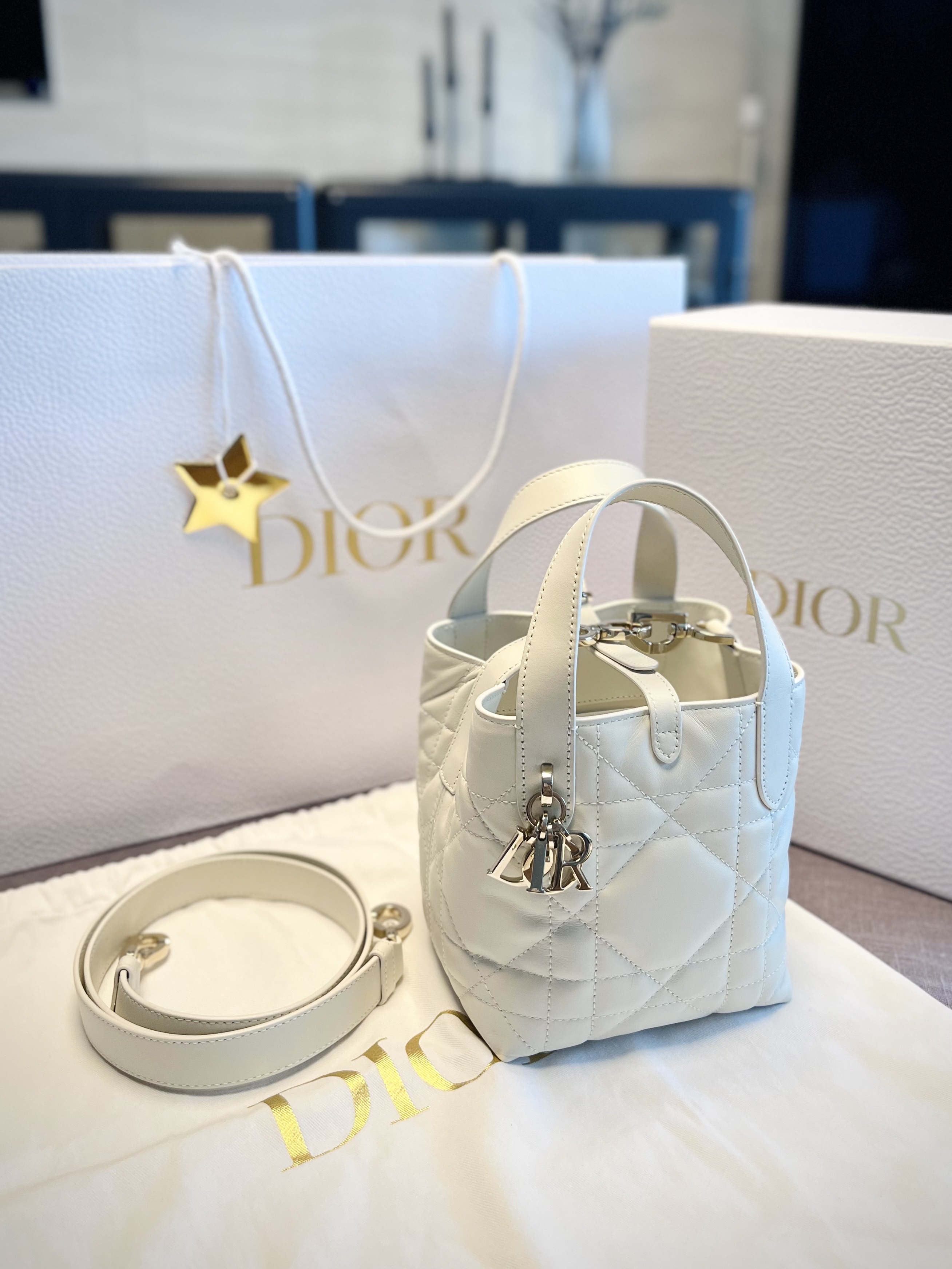 Dior Small Toujours Vertical Tote Bag Macrocannage Calfskin Latte, Dior Small Toujours Vertical Tote Bag Macrocannage Calfskin Powder Beige 착용 스타일 - 1