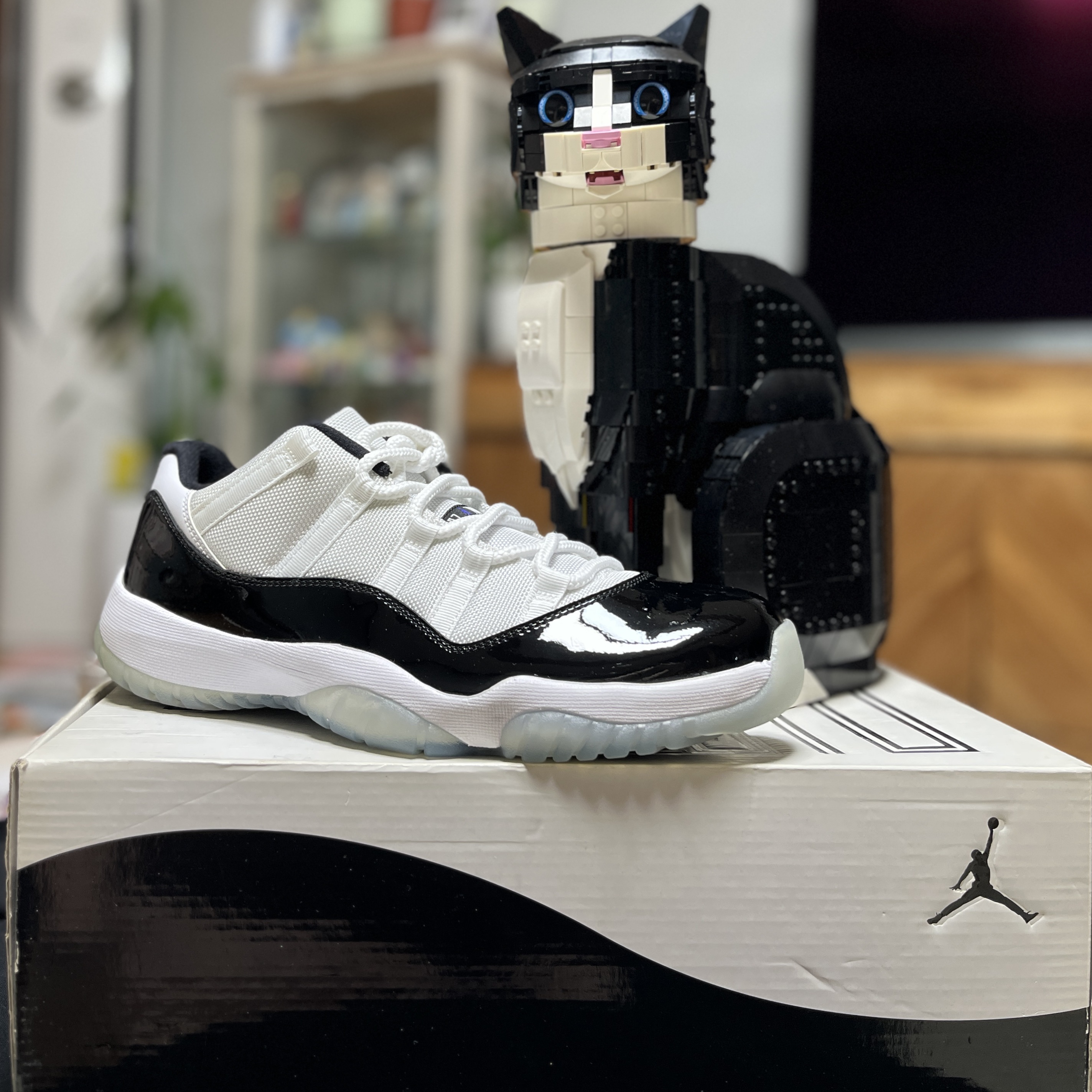 Jordan 11 Retro Low Concord, Lego Idea Tuxedo Cat 착용 스타일 - 6