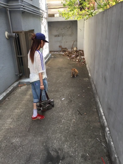 스타일 카드