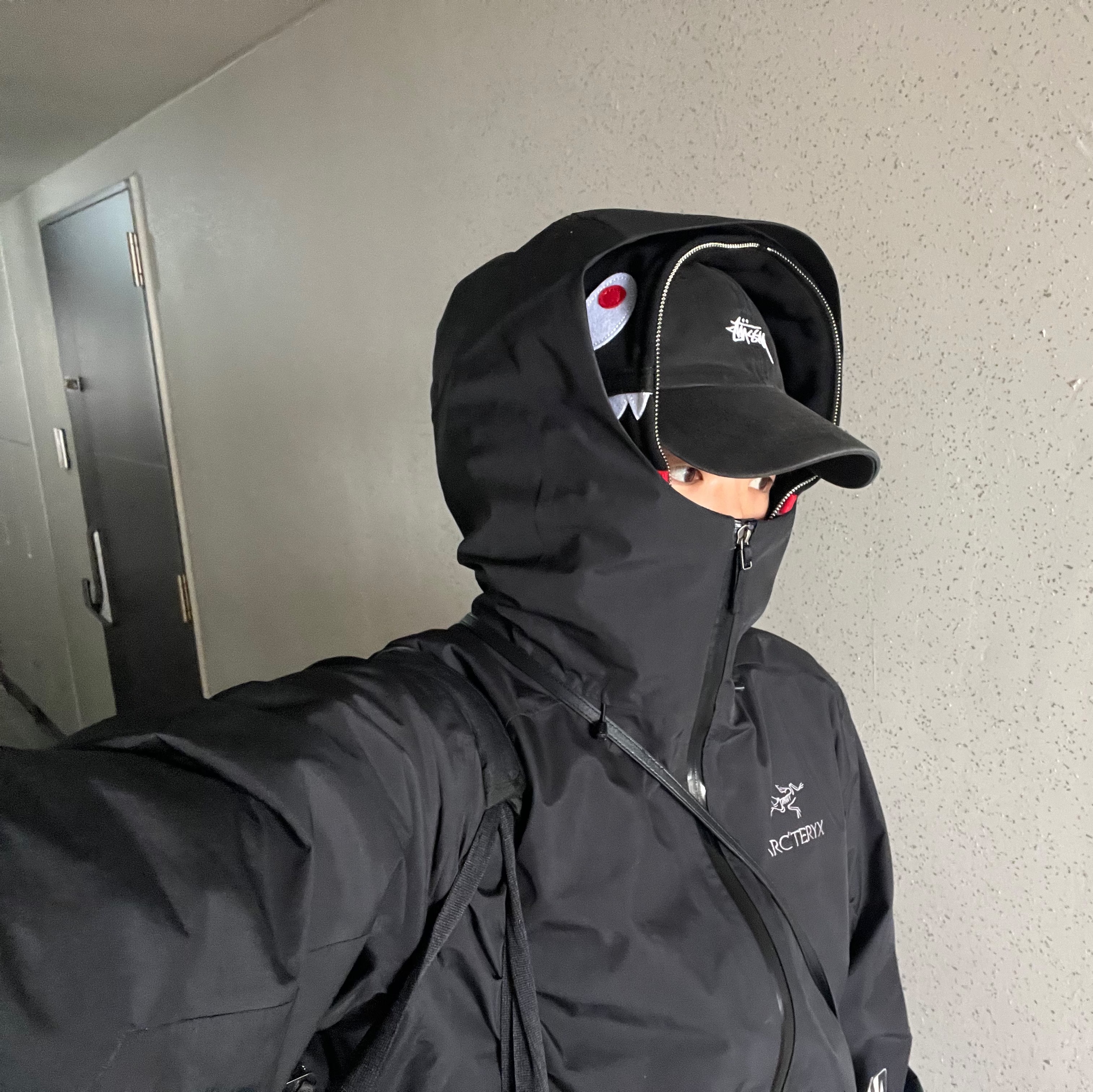 Arc'teryx Beta Jacket Black, (W) BAPE Milo Shark Full Zip Double Hoodie Black 착용 스타일 - 1