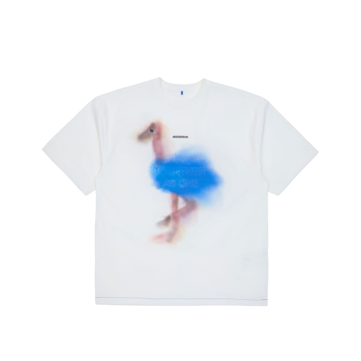 【人気商品】 Ader Error TAO T-shirt Product. 4 29247969_58390001_1000.jpg