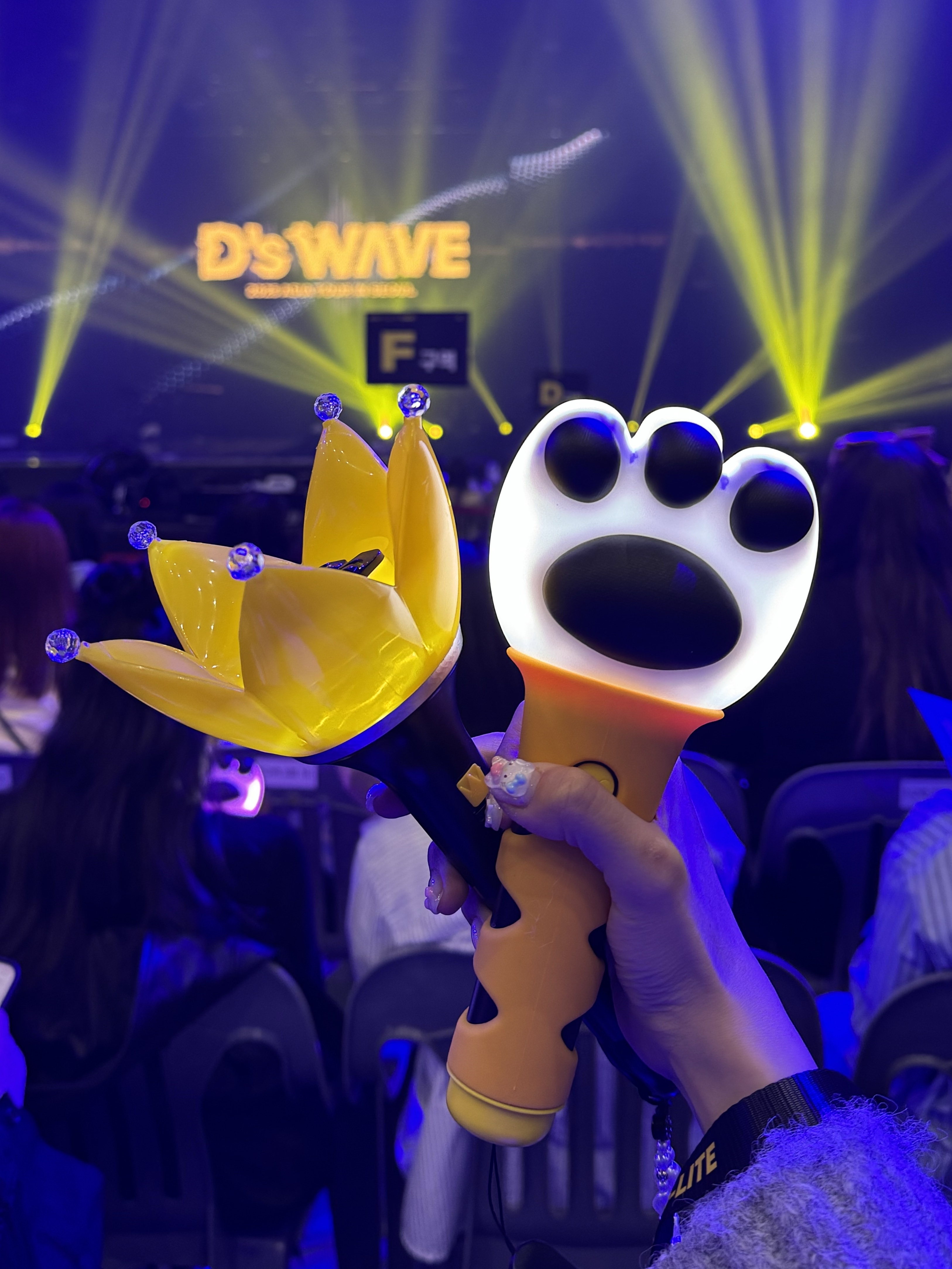 DAESUNG Official Light Stick, Bigbang Official Light Stick Ver.4 Black 2025 착용 스타일