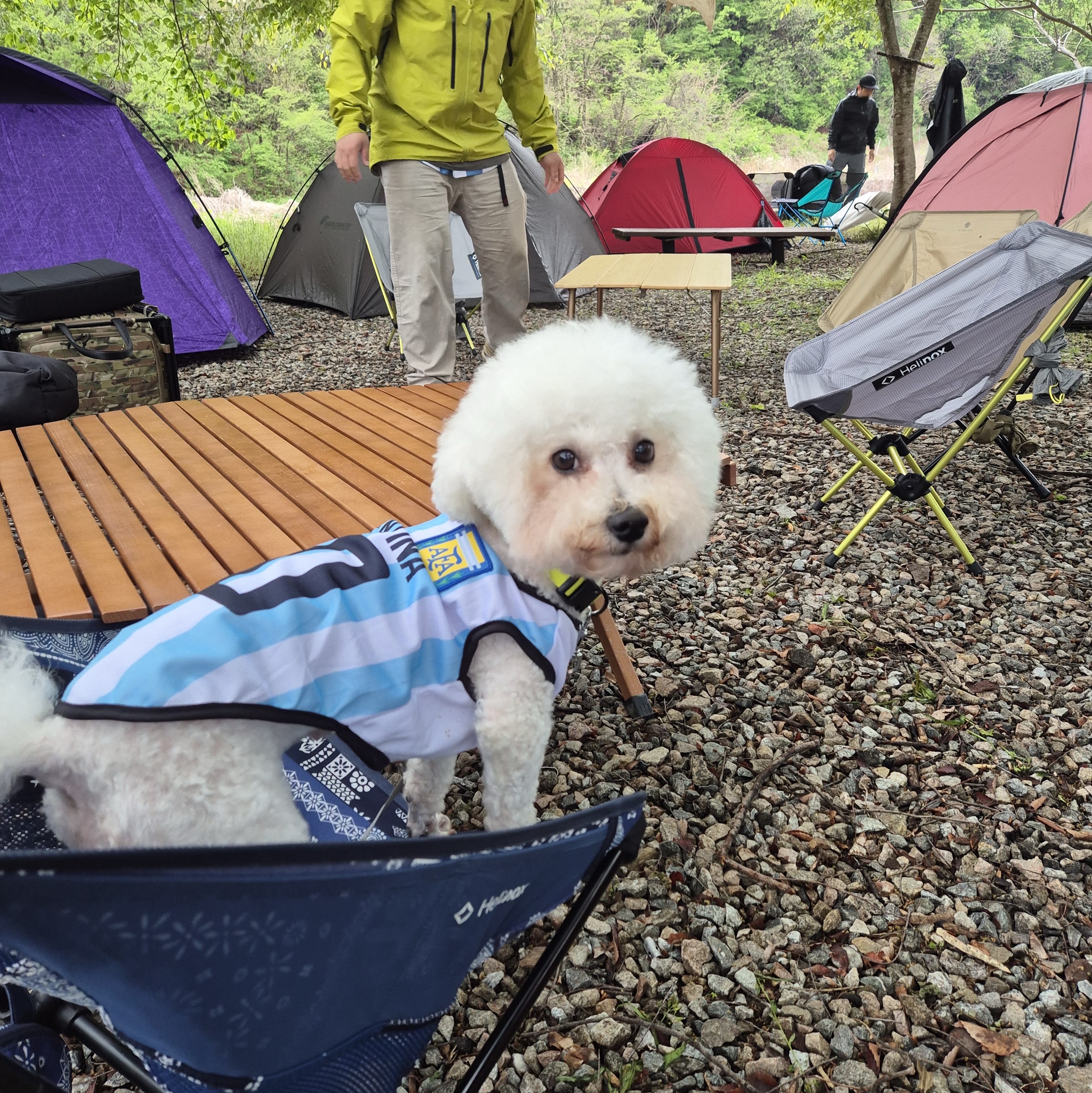 너구리님의 스타일