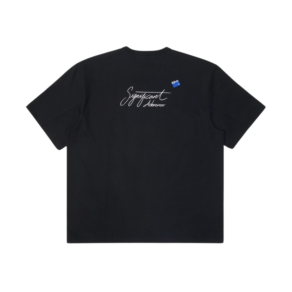 아더에러 시그니피컨트 한정 티셔츠 02 블랙(Ader Error Sig; Exclusive T-Shirt 02 Black)