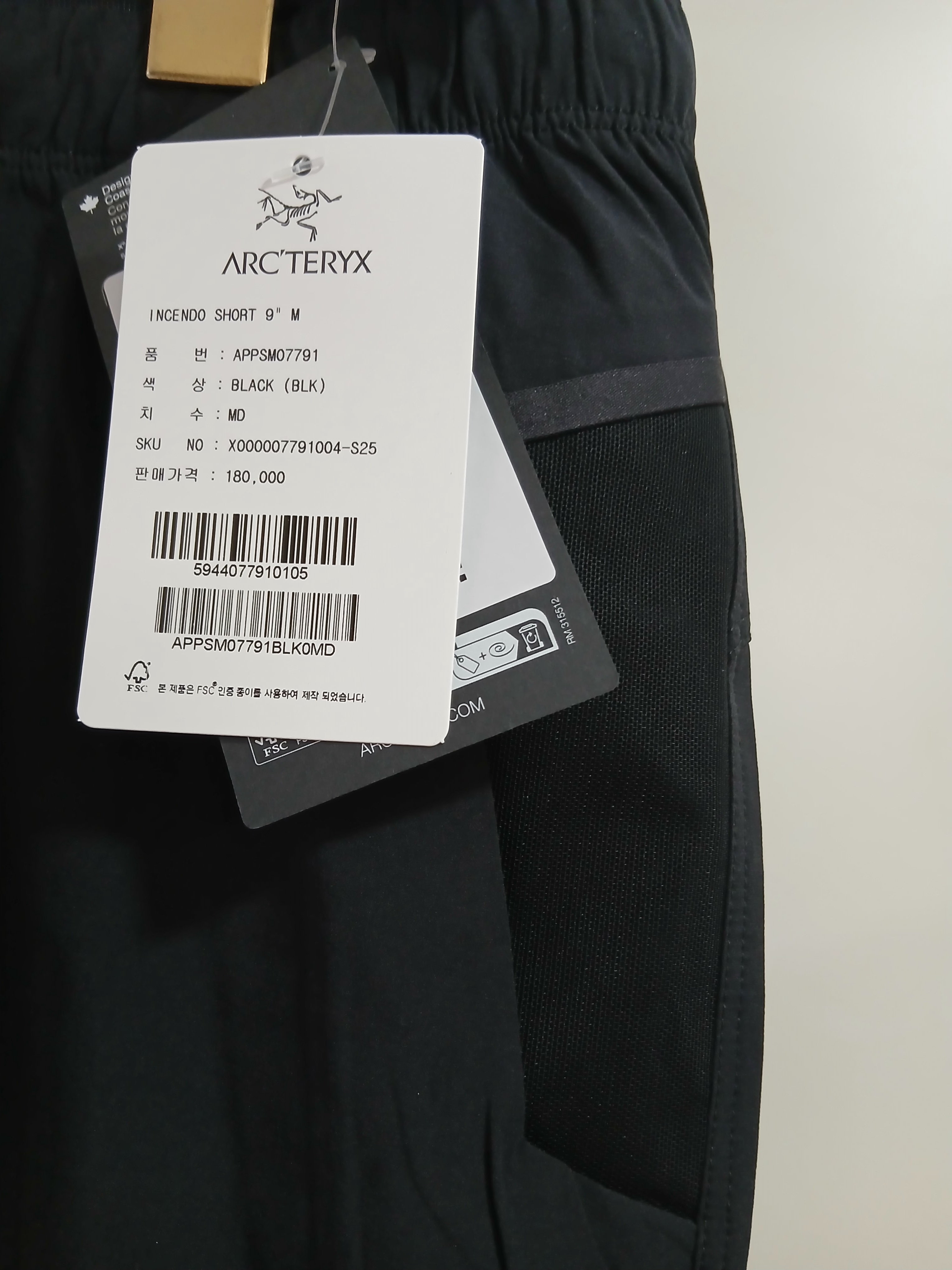 Arc'teryx Incendo Shorts 9 Inch Black 착용 스타일 - 2