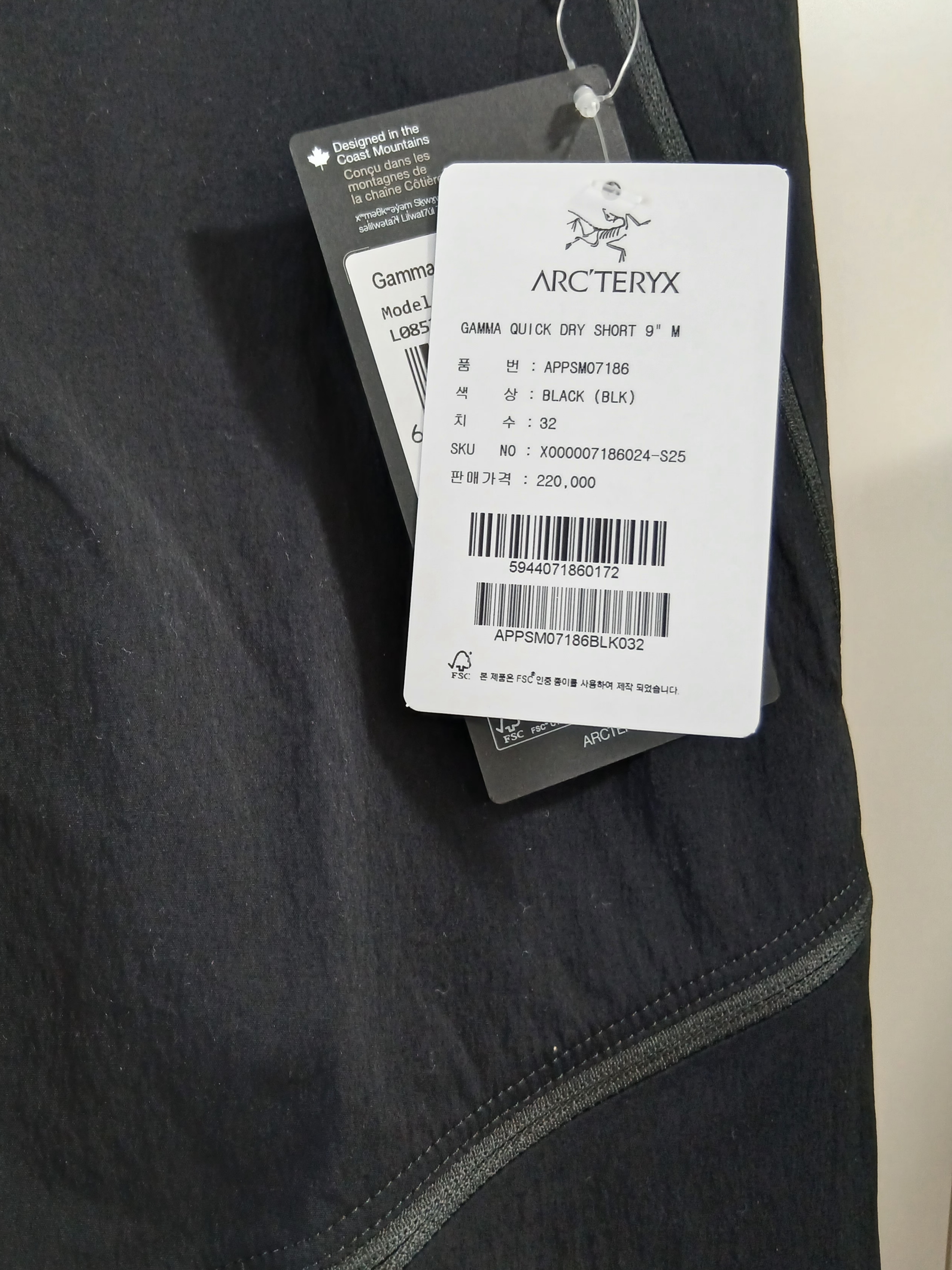 Arc'teryx Gamma Quick Dry Shorts 9 Inch Black 착용 스타일 - 2