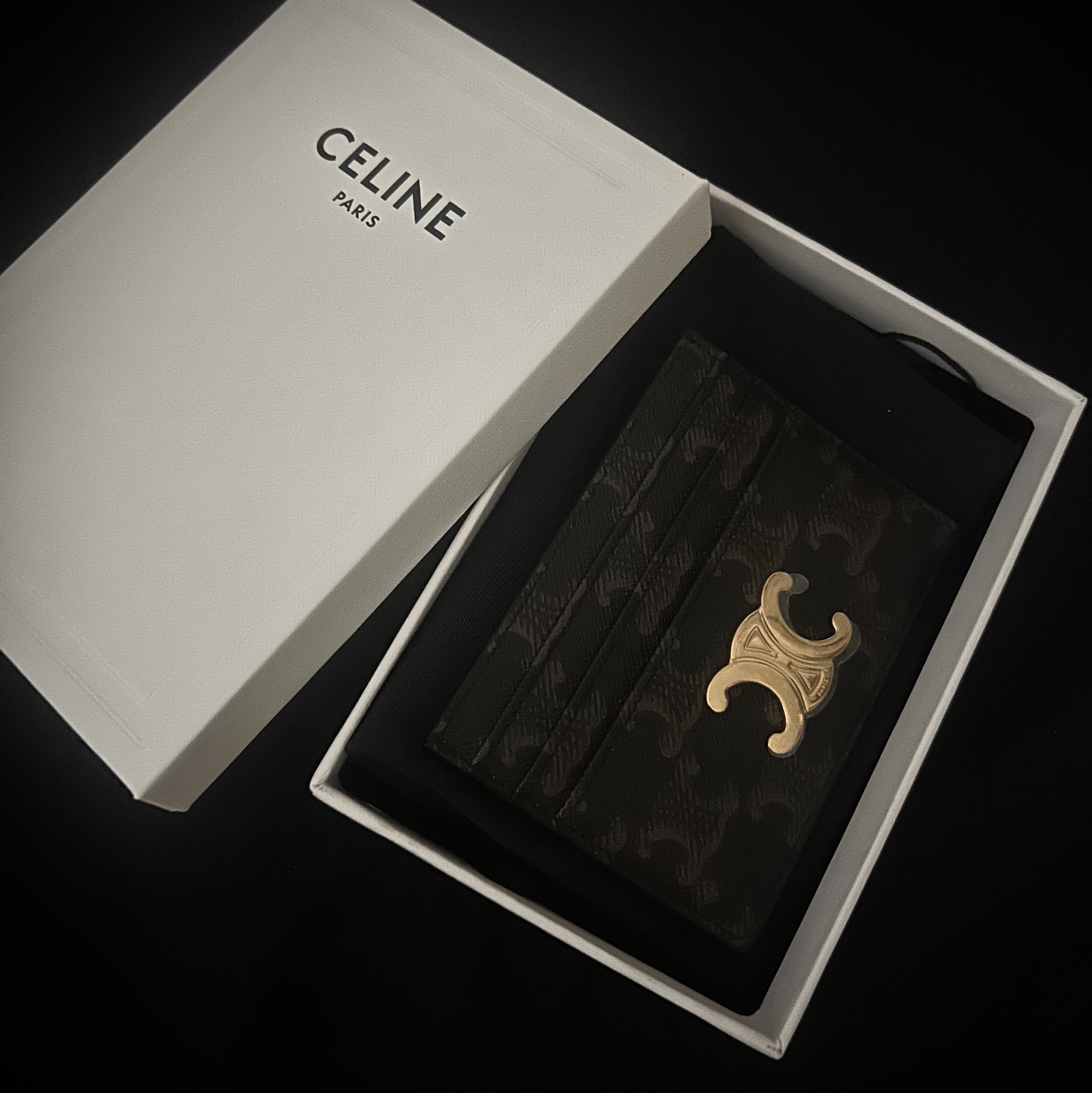Celine Triomphe Card Holder in Triomphe Canvas Tan 착용 스타일