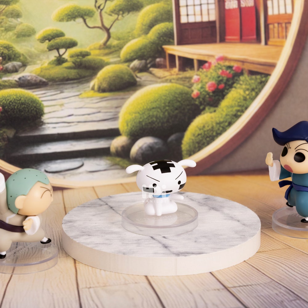 8809571203030 Crayon Shinchan Kongfu Boys Random Figure - #5