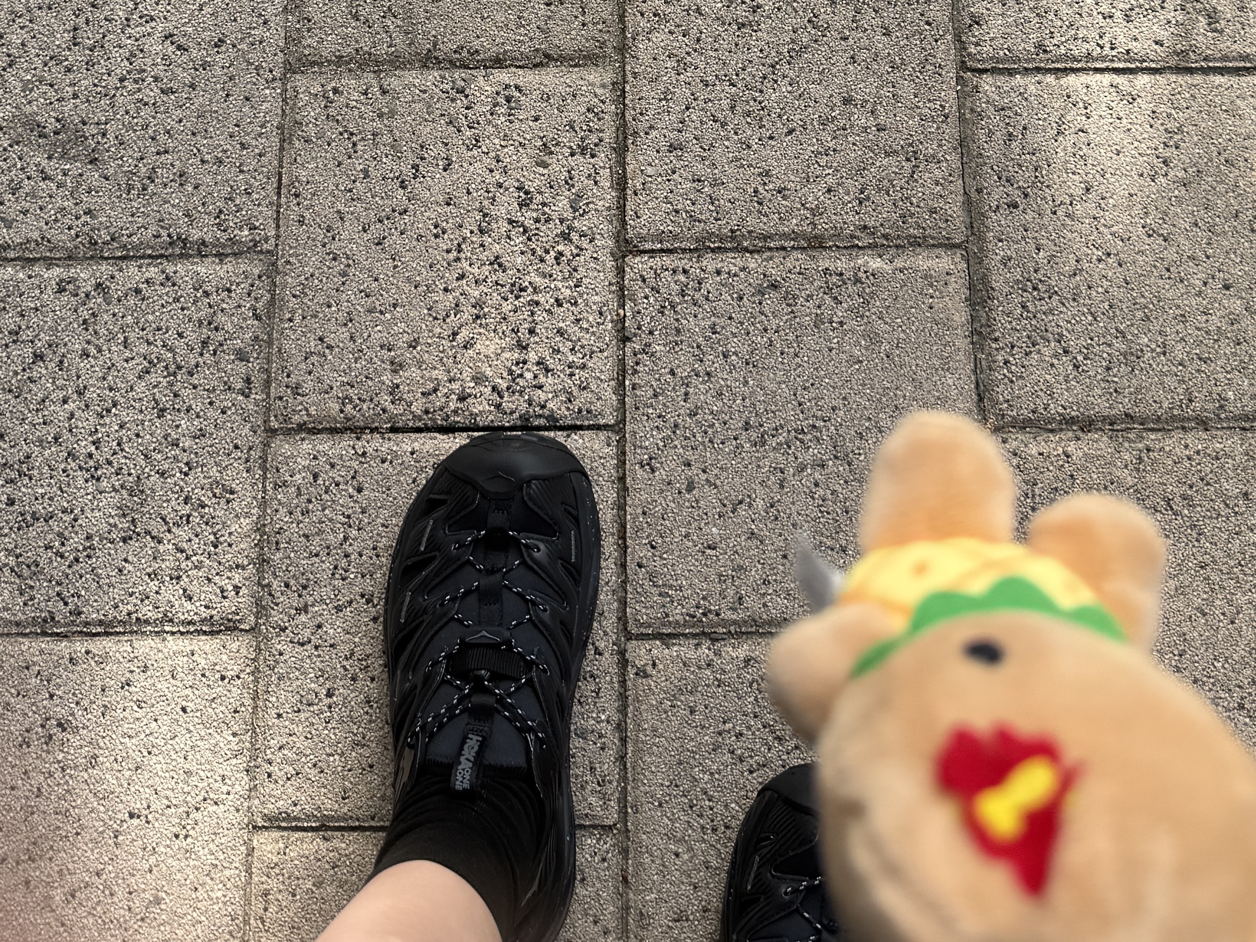 Hoka Hopara Black Castle Rock 착용 스타일