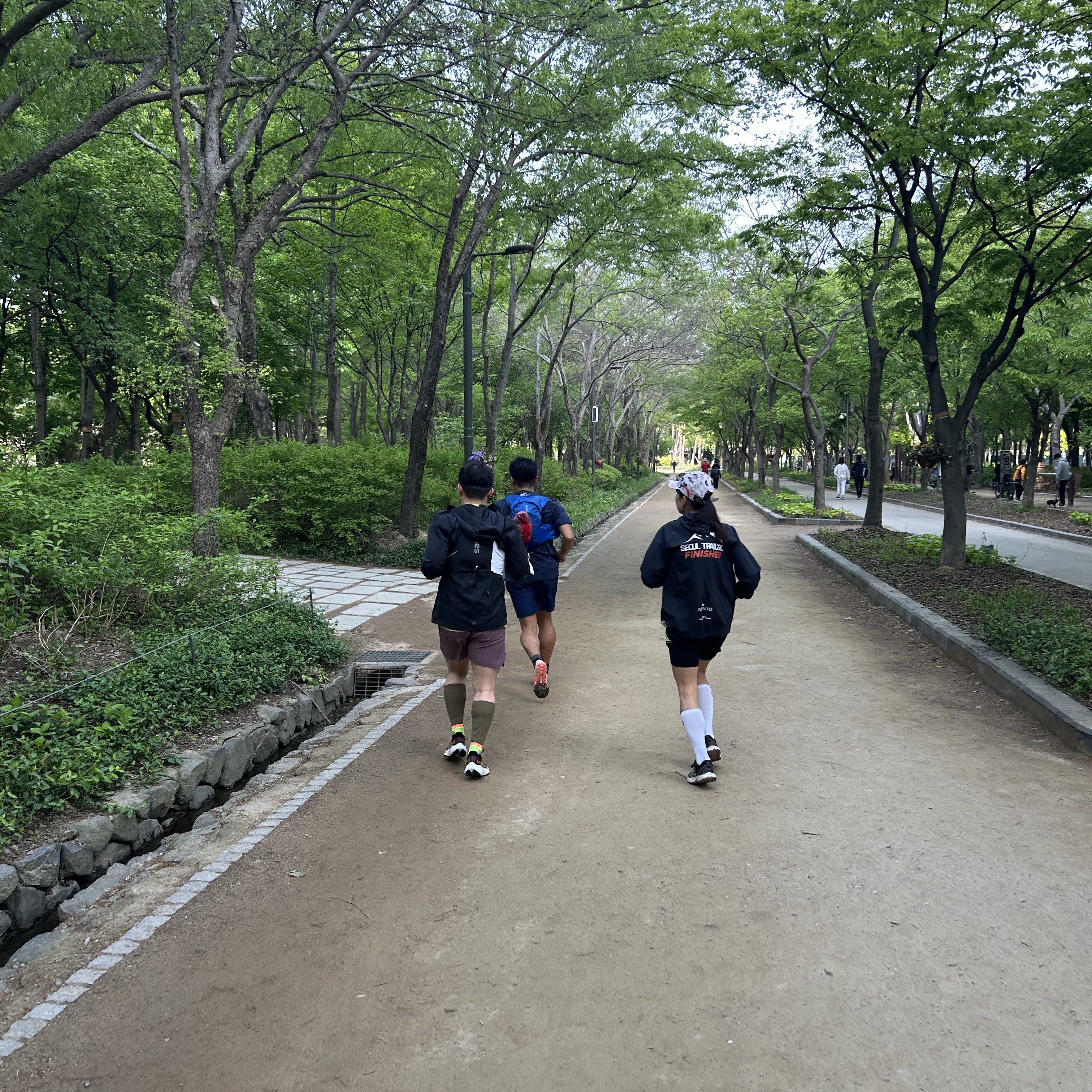 rockkih님의 스타일