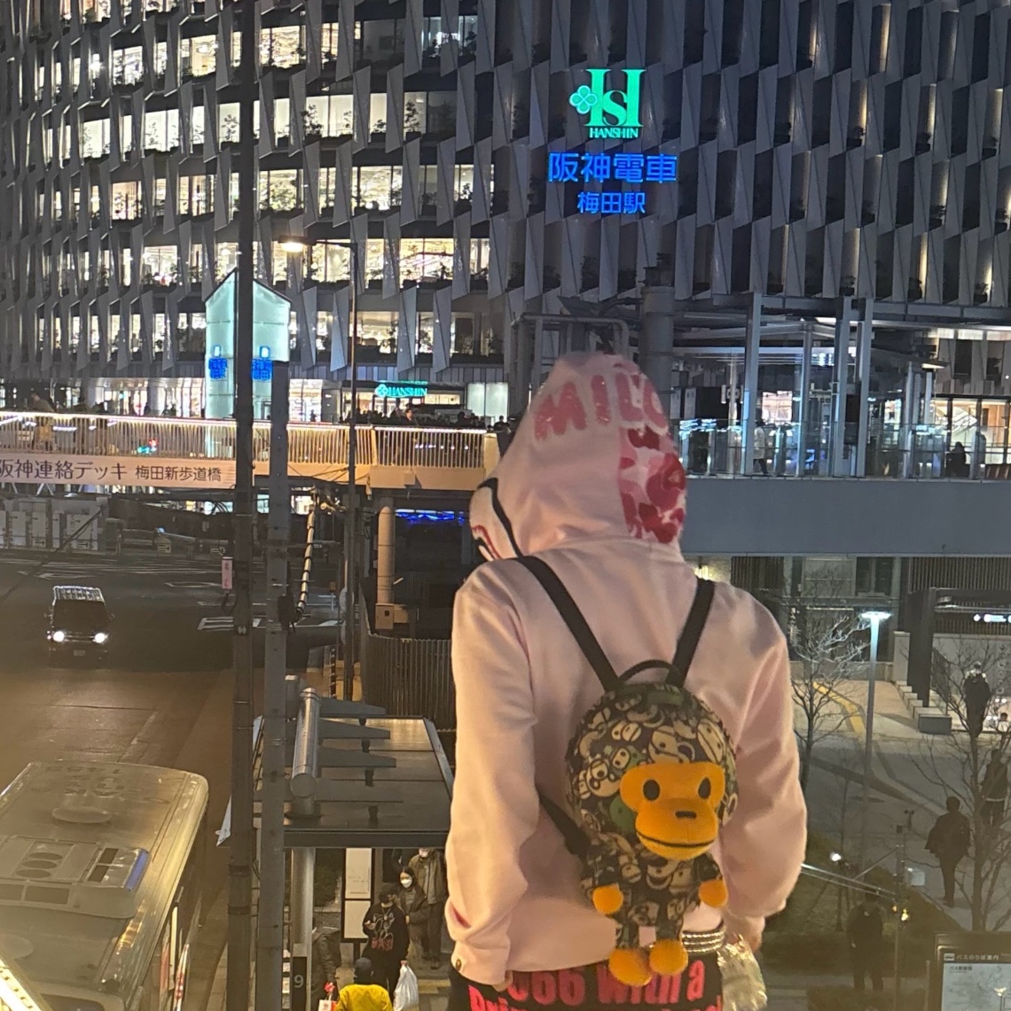 (W) BAPE Milo Shark Full Zip Double Hoodie Pink, BAPE Baby Milo Plush Backpack Green 착용 스타일